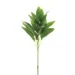 High-Performance Sage 12in Versatile