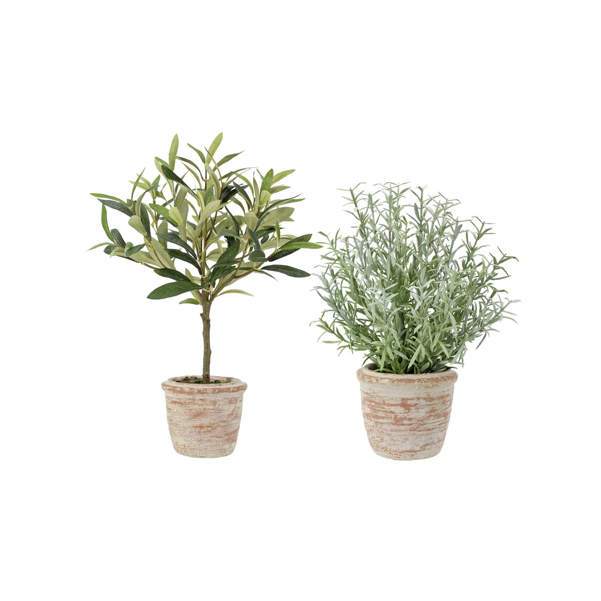 Certified Potted Faux Rosemary or Olive Topiary Modern