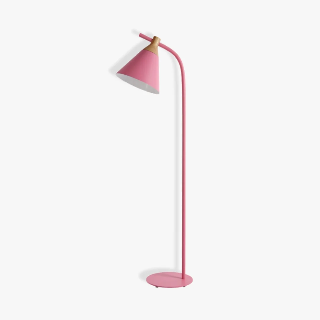 Detailed Simple Macaron Floor Lamp Stylish