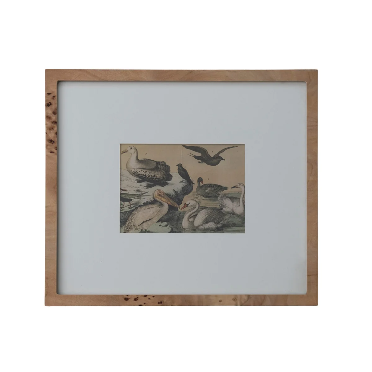 High-End Wall Photo 5 x 7 Frame with White Mat Natural Elite