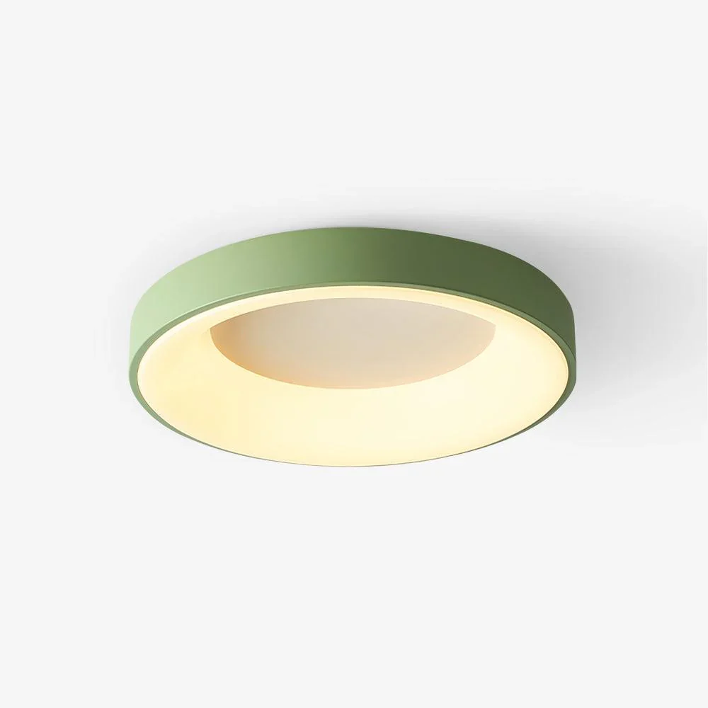 Organic Acrylic Modern Ceiling Light Smart