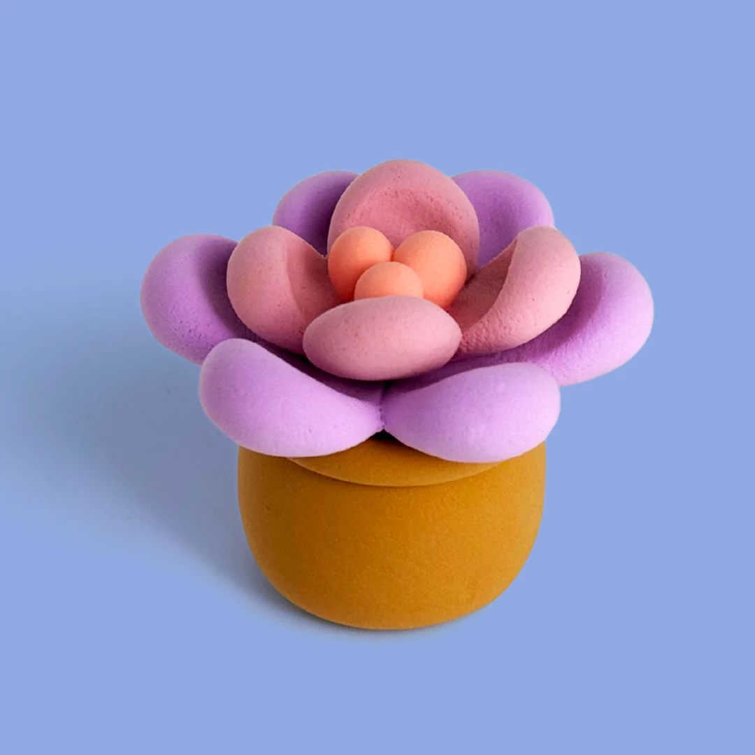 Next-Generation Succulent Clay Crafting Kit Specialty