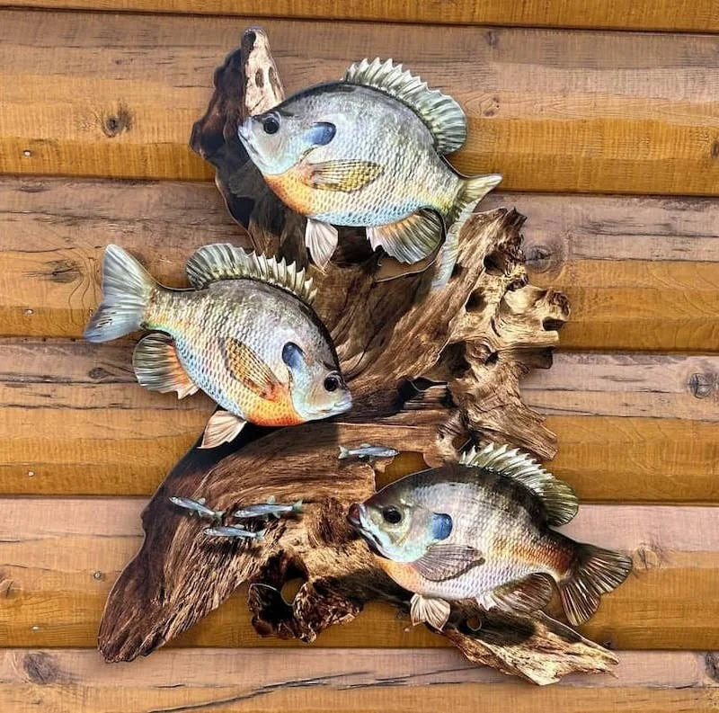 High-Quality Bluegill Replica Driftwood Scene Rustic Home Decor 2D Metal Selected