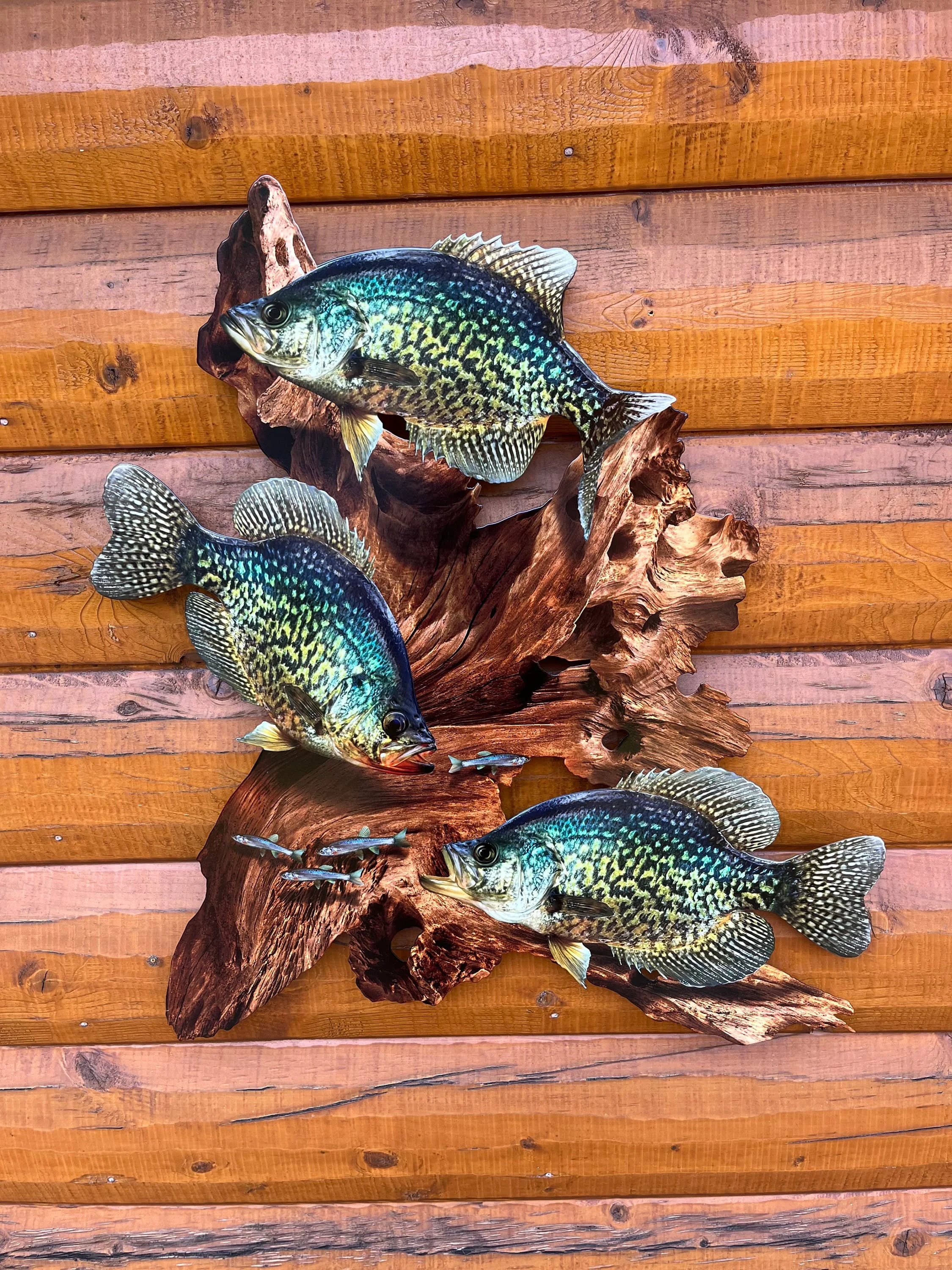 Casual Crappie Replica Driftwood Scene Metal Rustic Decor High-Grade