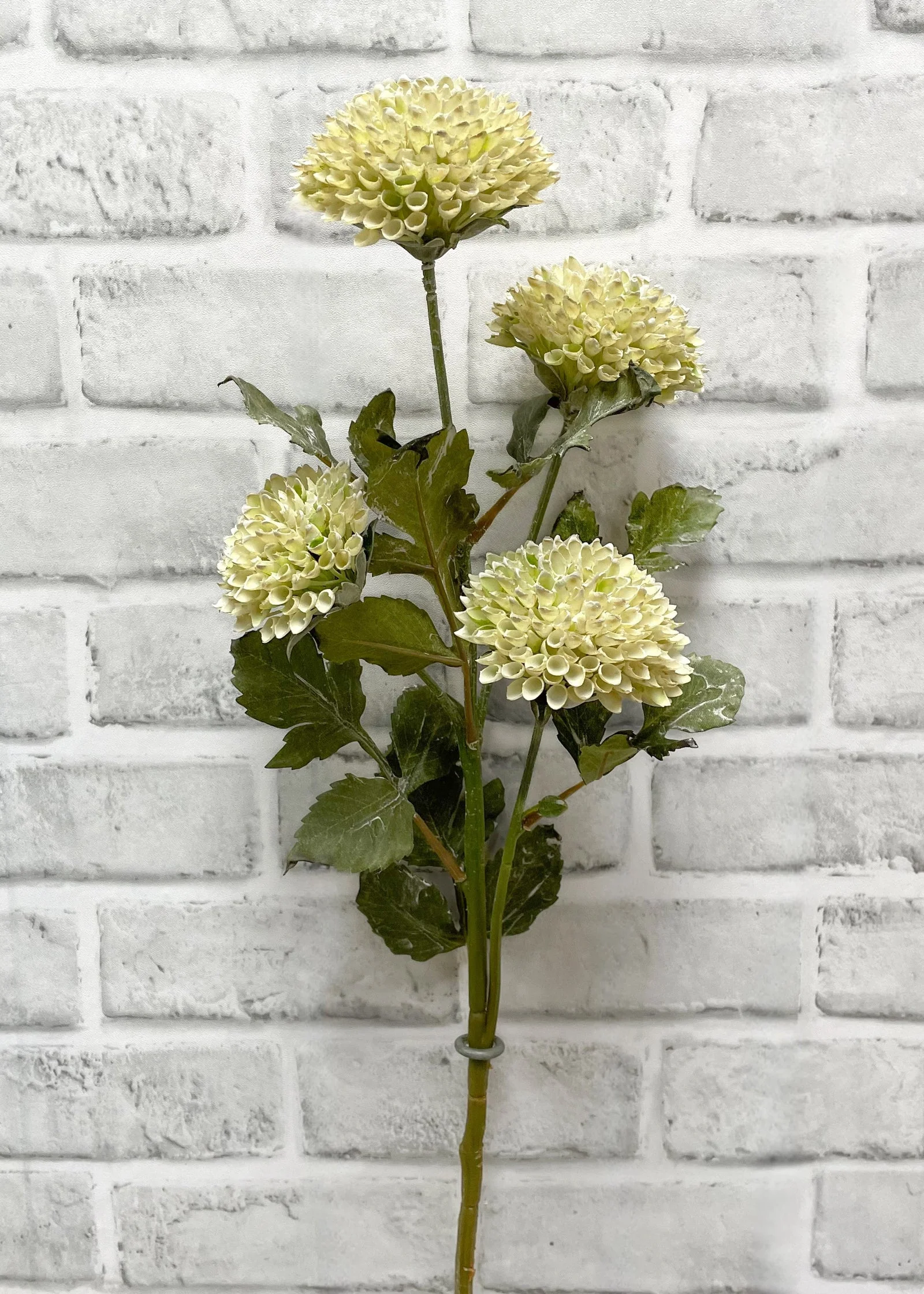 Pure Scabiosa Spray Authentic