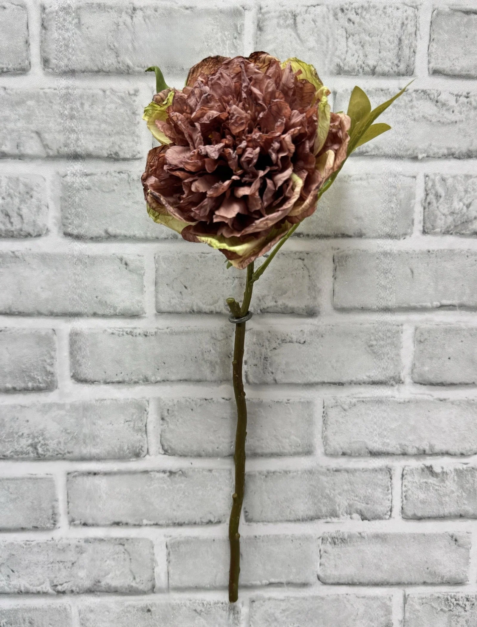 Sophisticated Dried Look Peony – Rose Fine