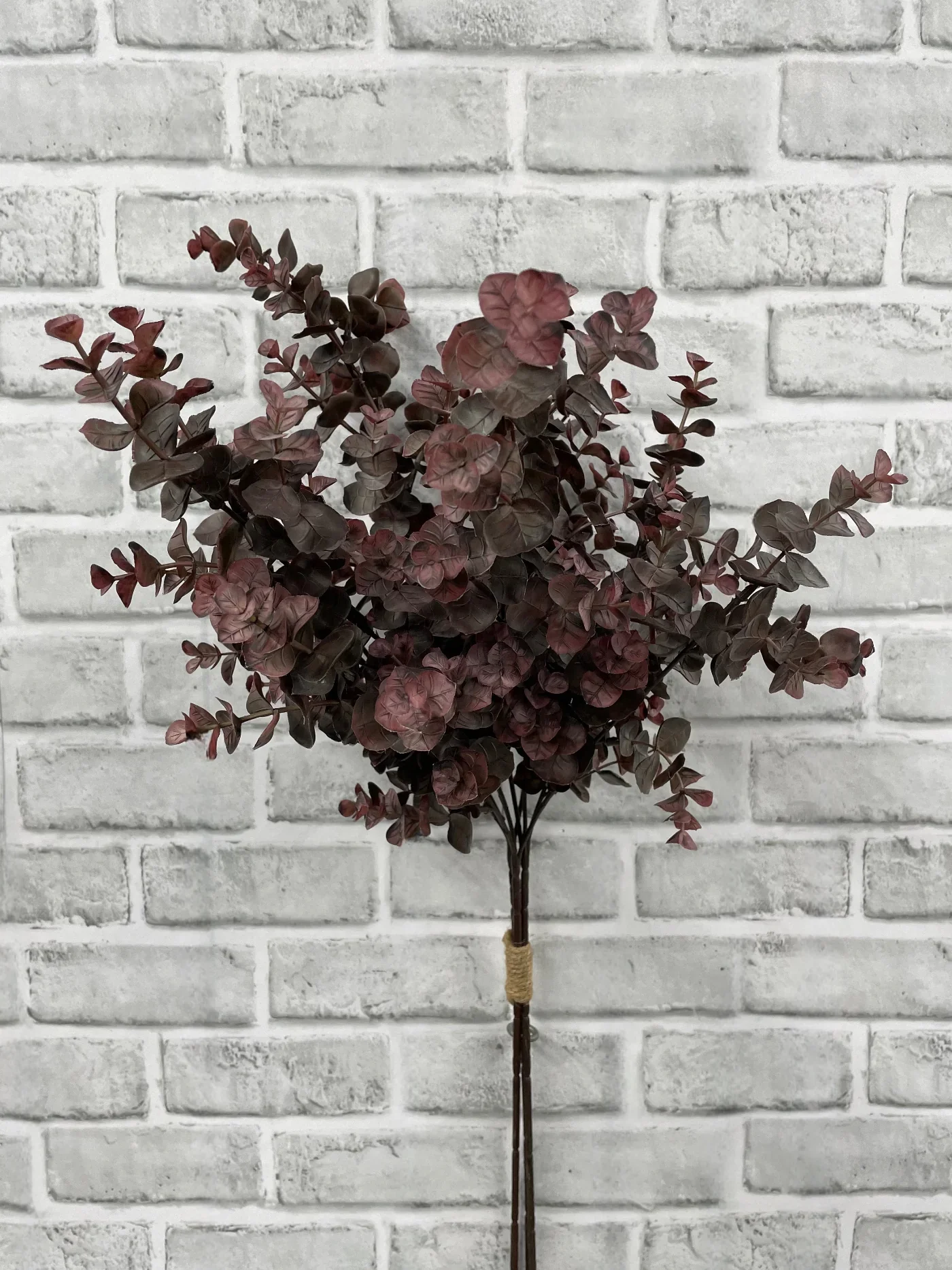 Official Eucalyptus Bundle – Burgundy Premium Material
