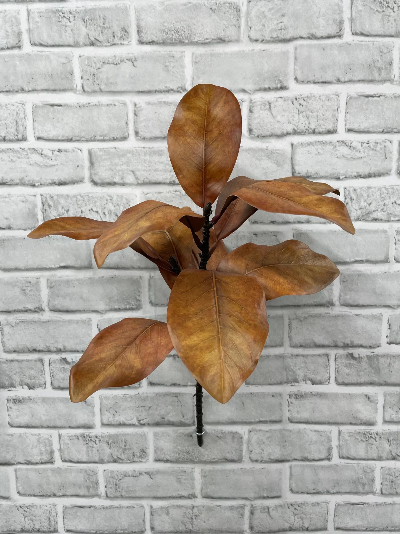Excellent Magnolia Spray Professional