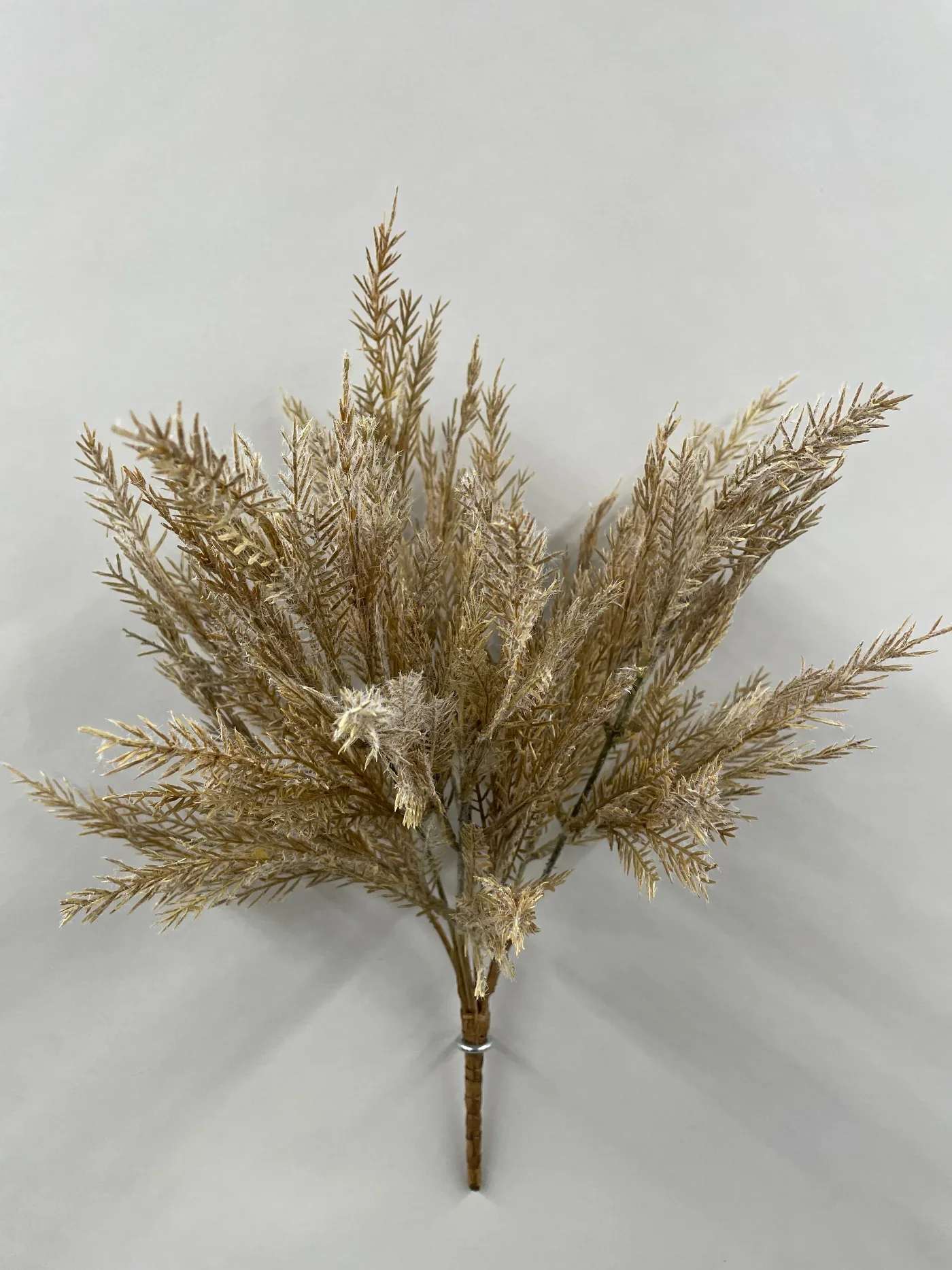Secure Spikemoss Bush Recyclable