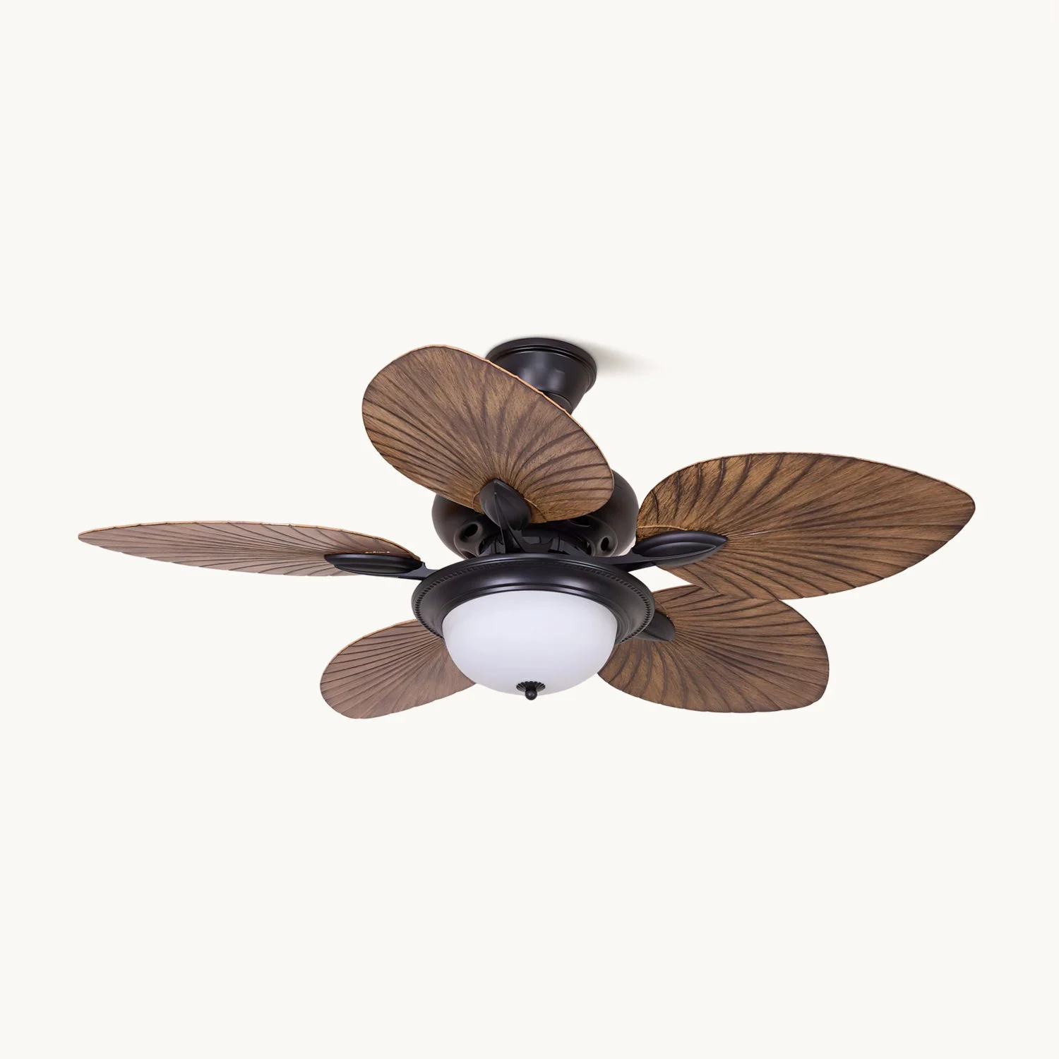 Traditional Calora Ceiling Fan Light Consistent