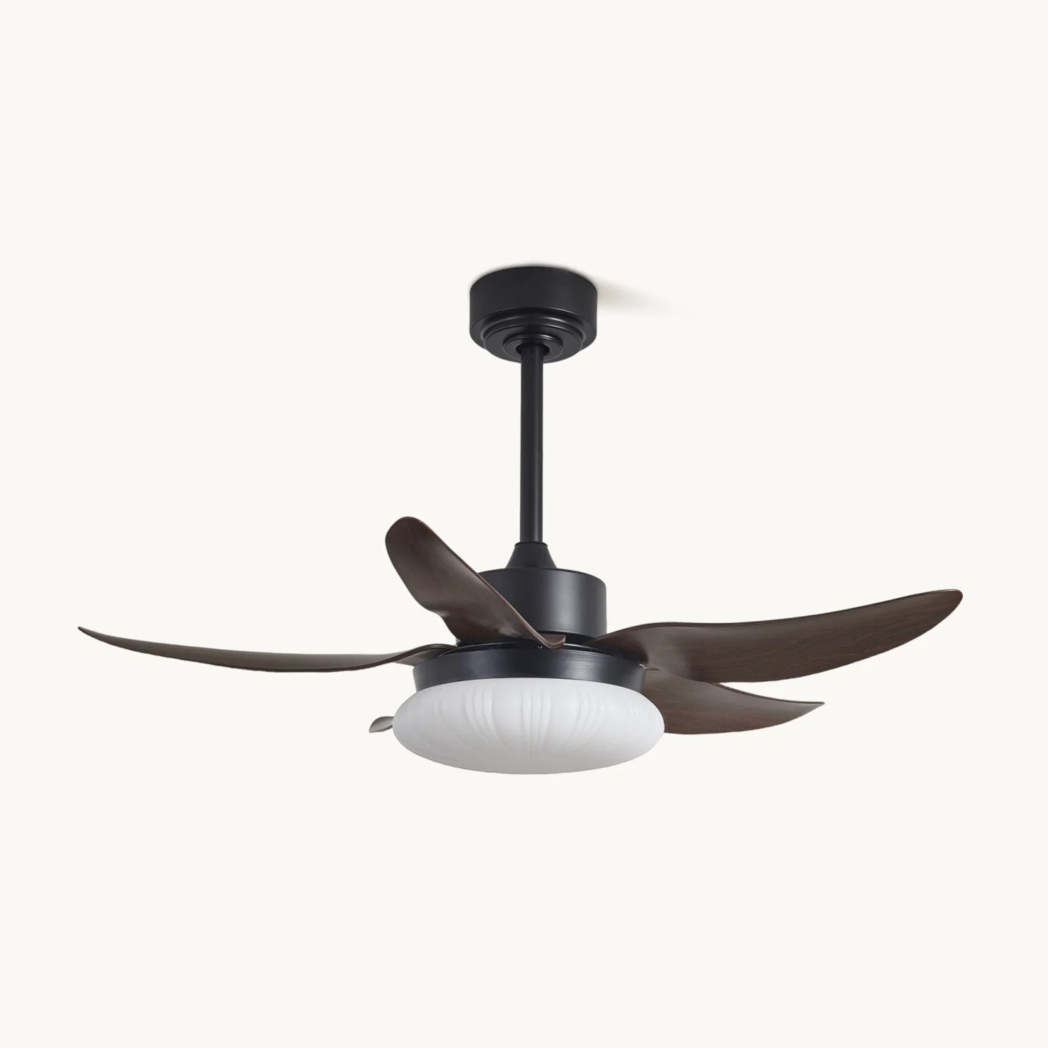 Outstanding Moasis Ceiling Fan Light Smooth