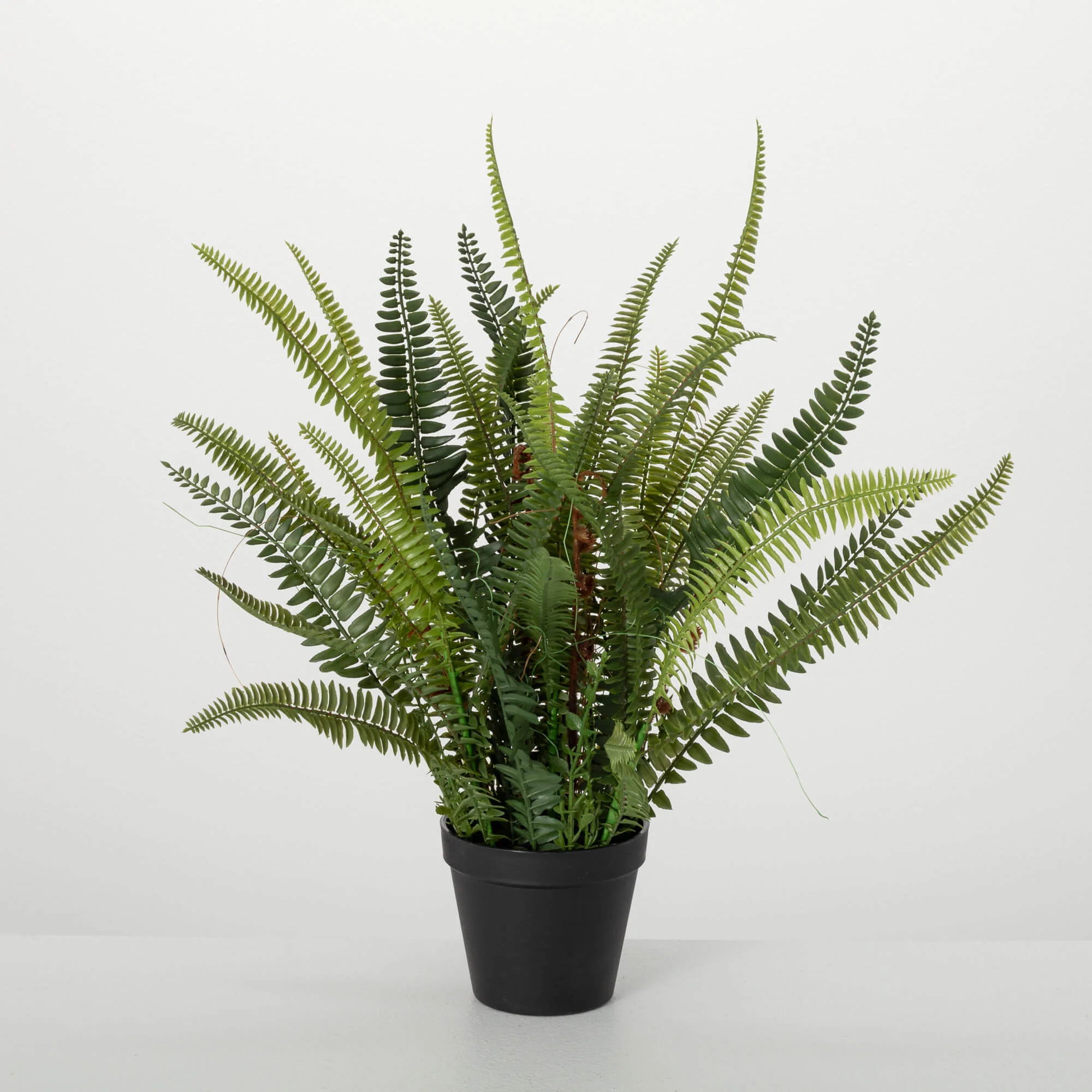 Durable 21 Lush Potted Fern Safe