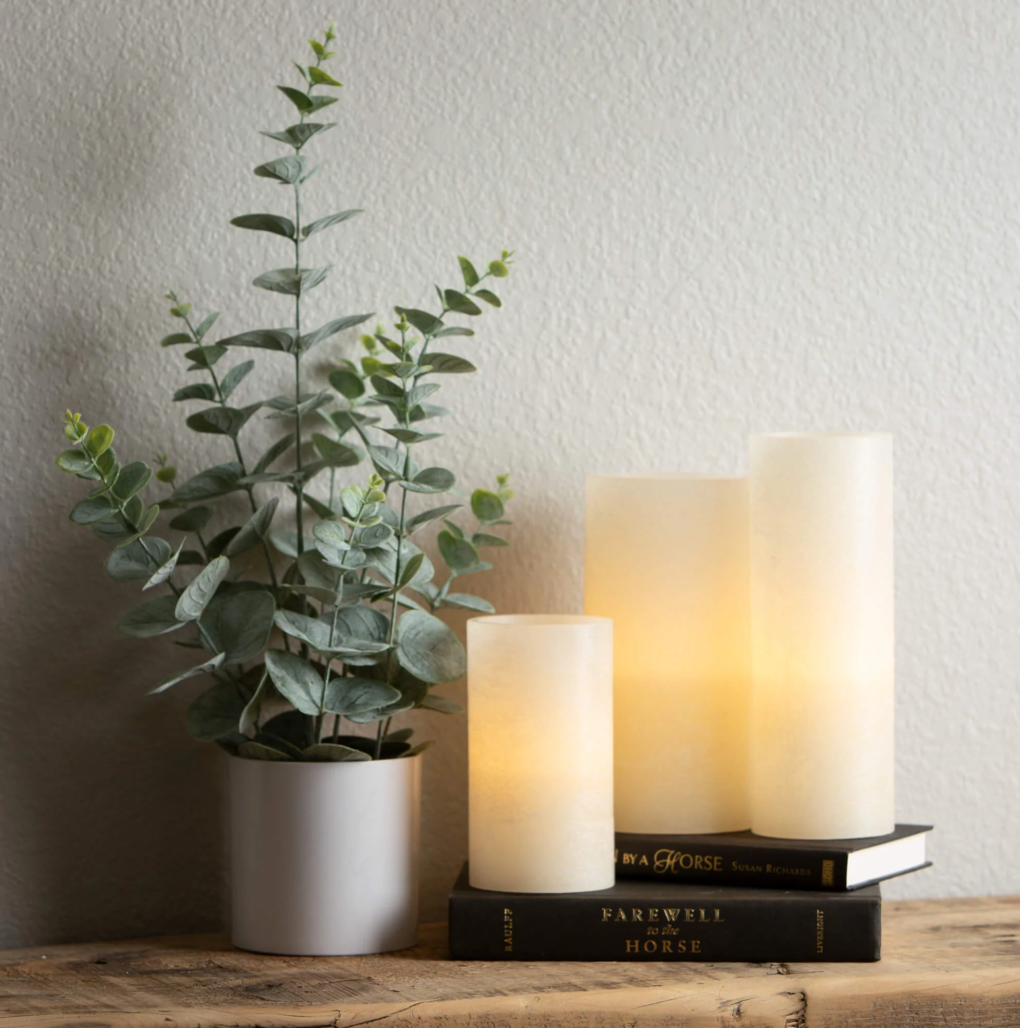 Luxury 20.5 Eucalyptus with White Pot Casual