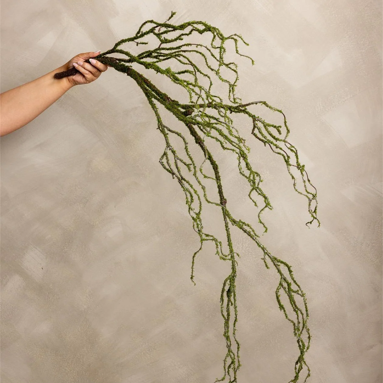 Exceptional Mossy Drop Branch Eco-Friendly