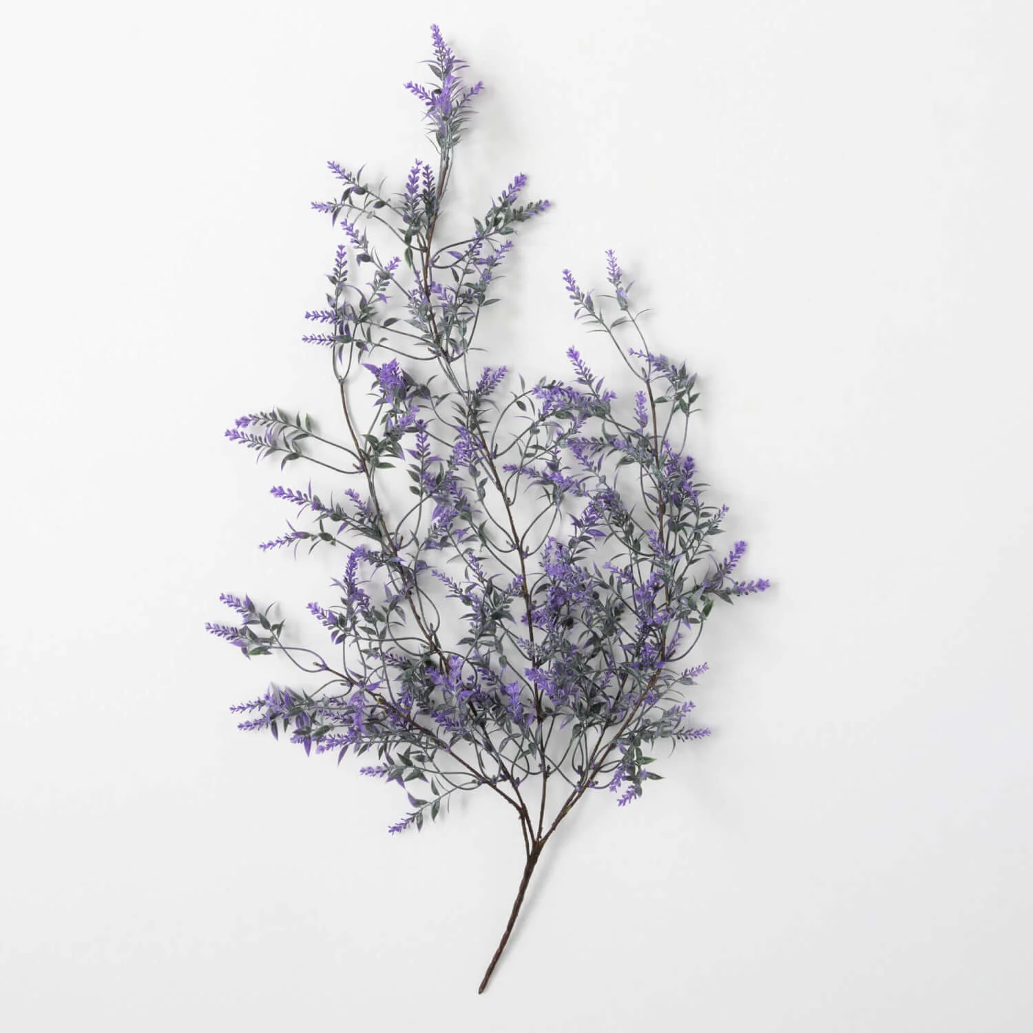 Minimalist Lavender Drop Swag Bush Dependable
