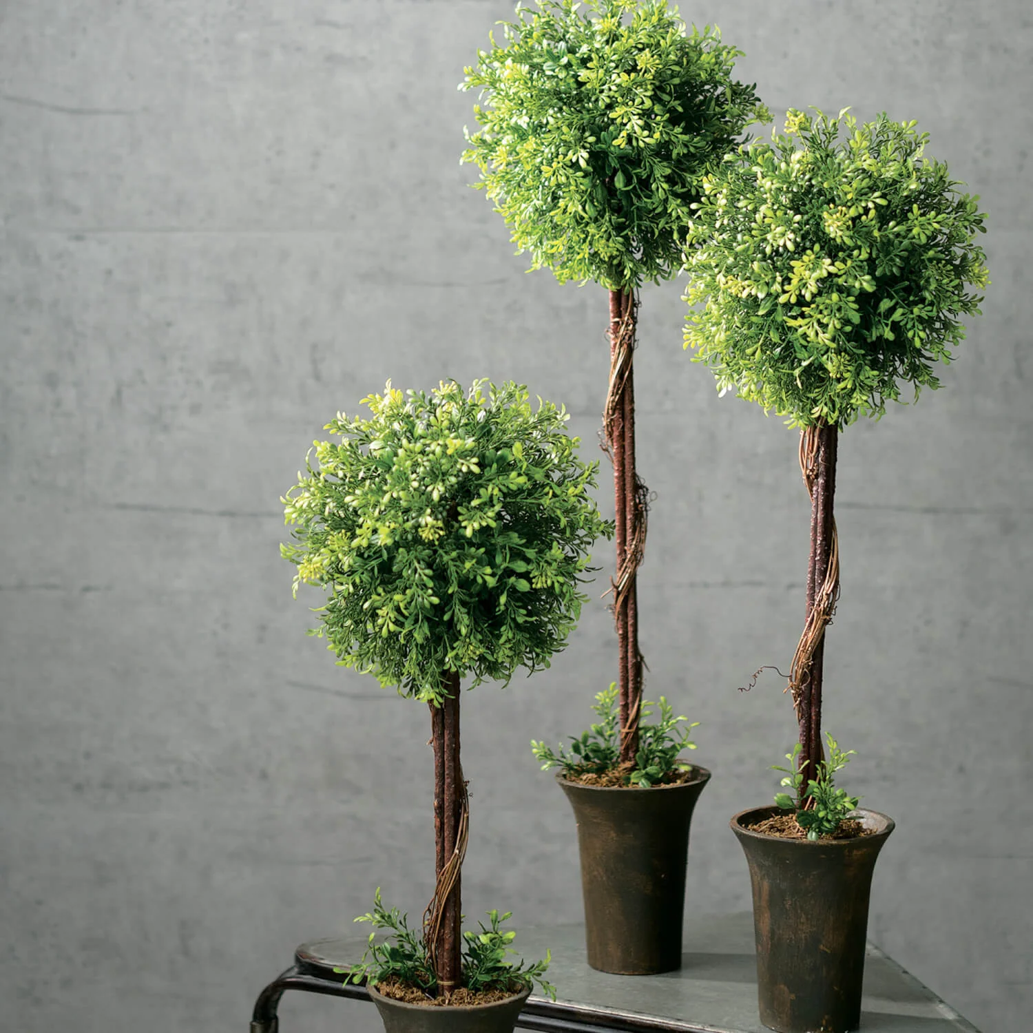 Artisan Tealeaf Berry Topiary Tree Artificial Contemporary