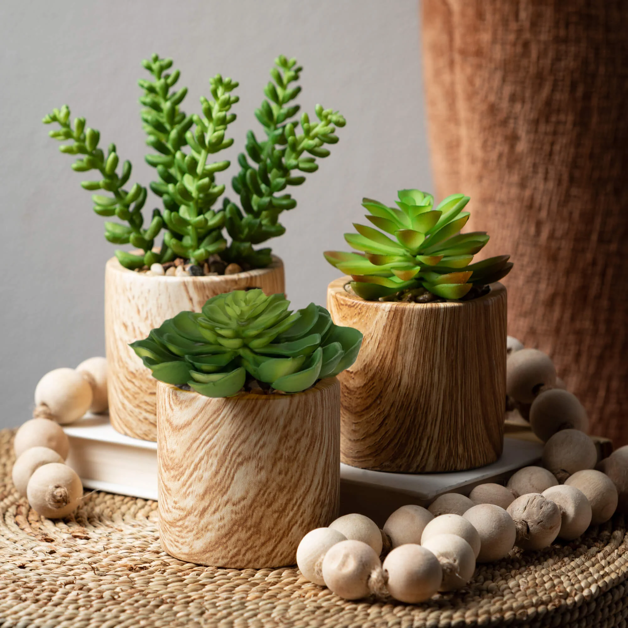 Innovative Wooden Potted Succulents Recyclable