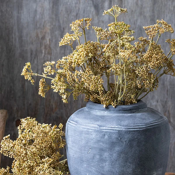 Contemporary Meadow Sedge Stem – Natural Superior