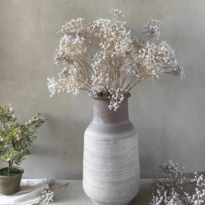 Superior Gypsophilas Stem Consistent