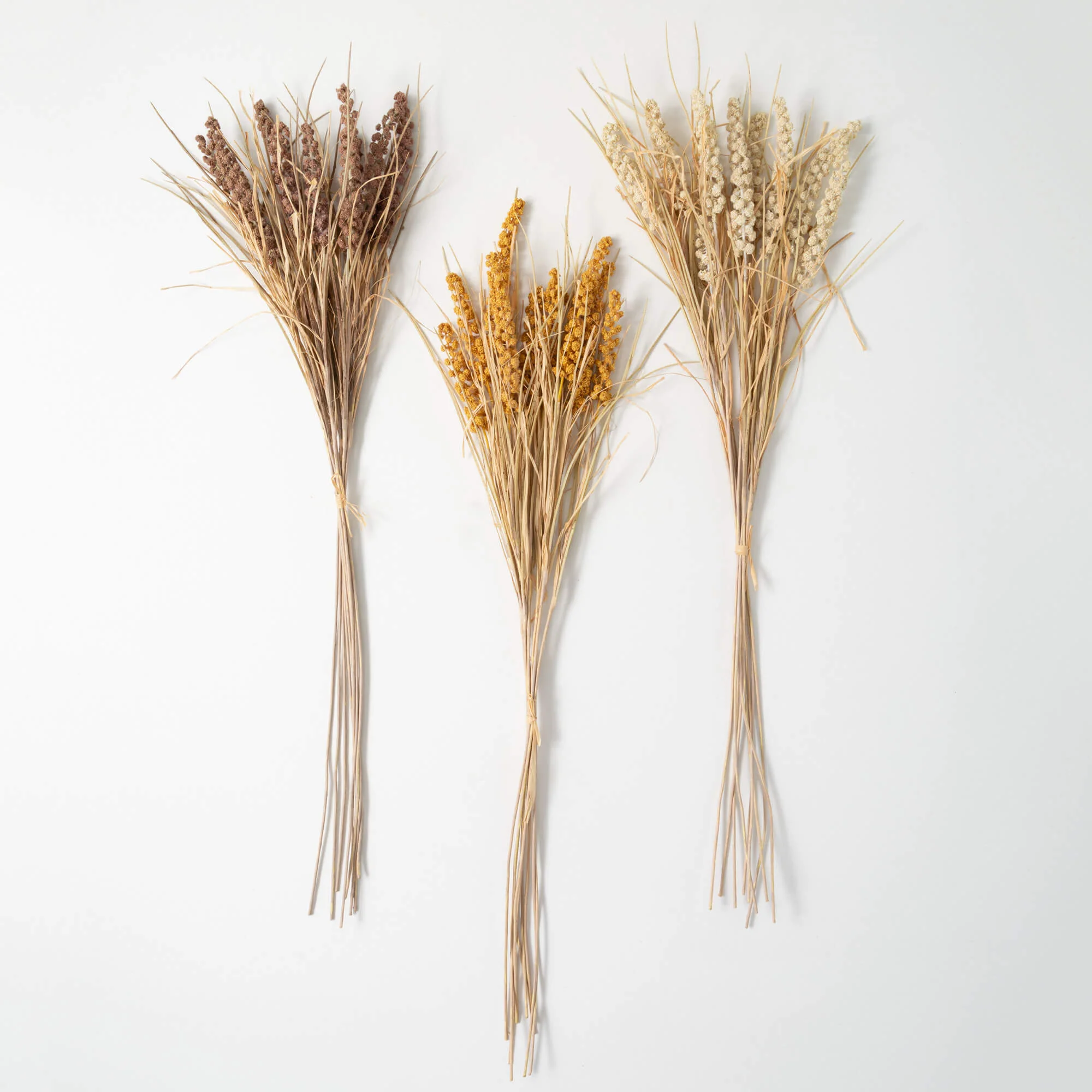 Exclusive Dried Wheat Bush Soft