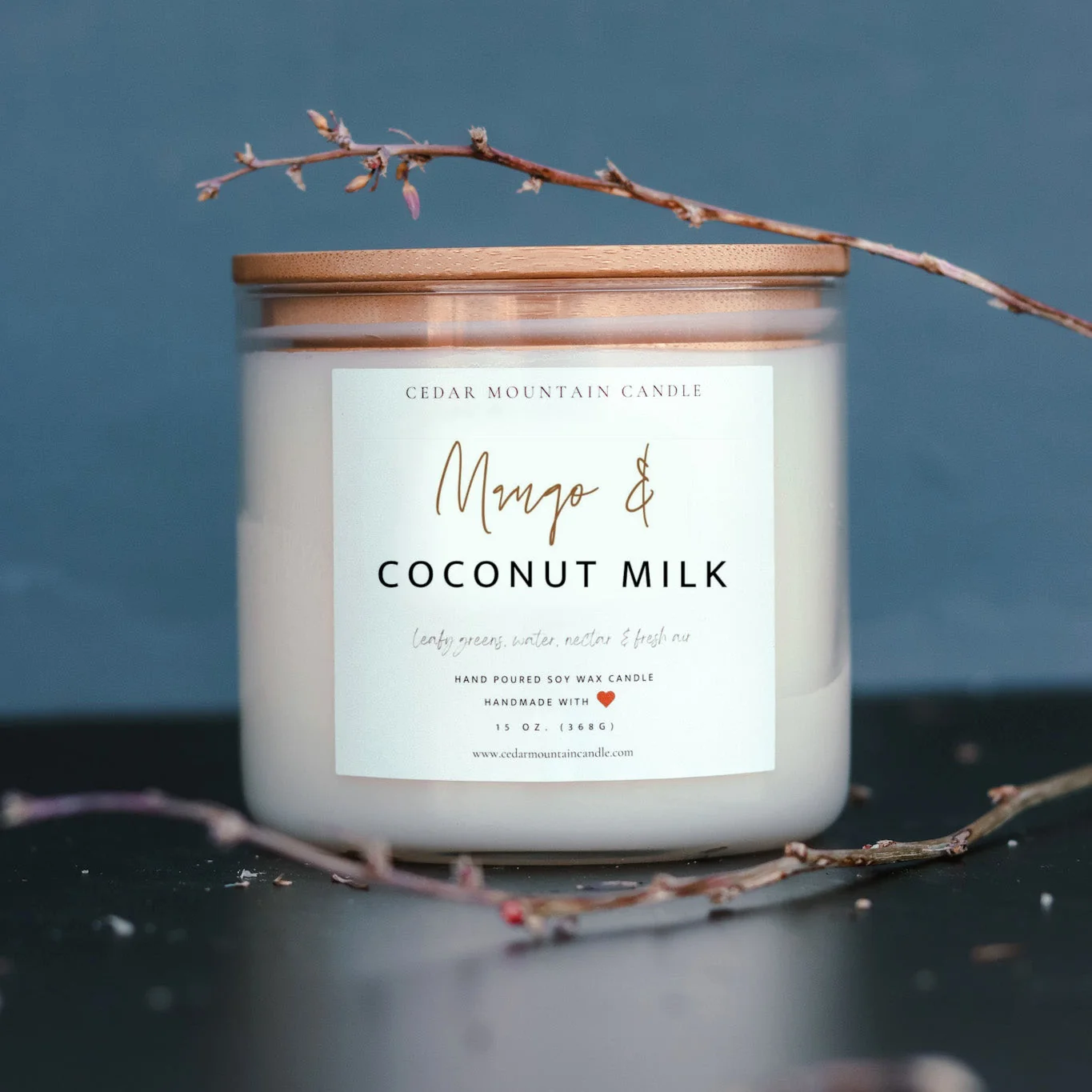 Artisan Mango Coconut Milk – 3 Wick Jar Candle Traditional
