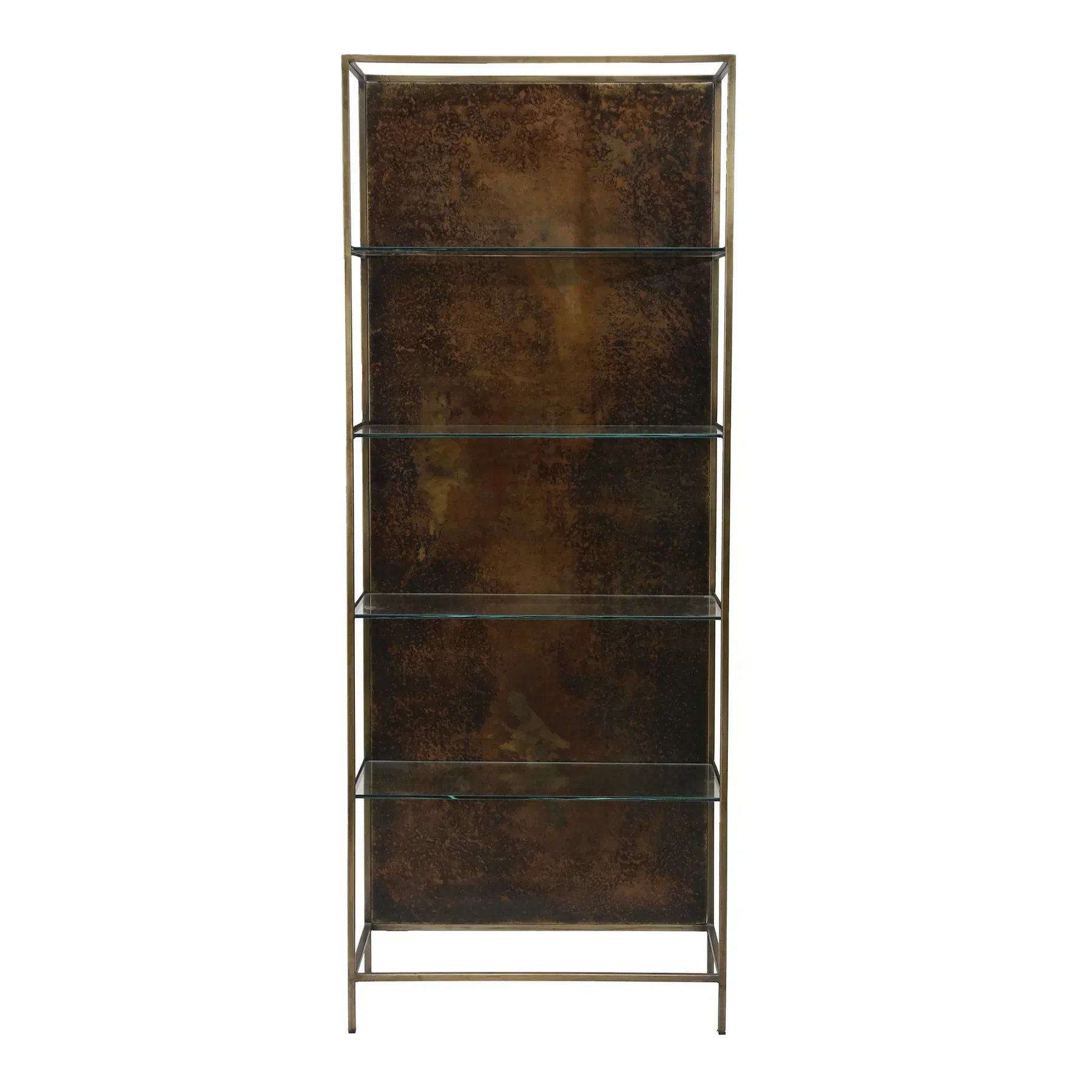 Enhanced Venus Bookcase Traditional