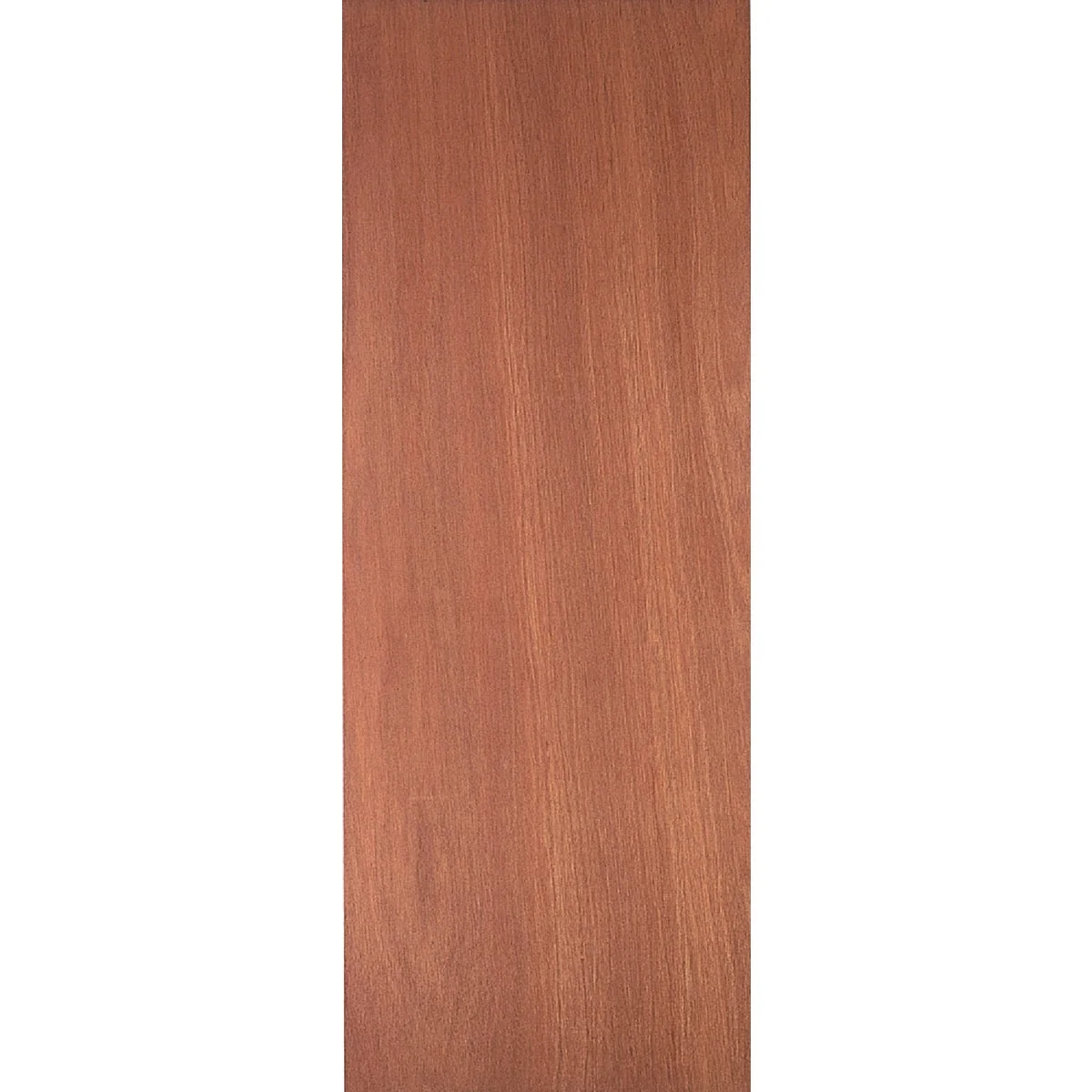 Verified Masonite 24 In. W. x 80 In. H. Lauan Wood Interior Hollow Core Door Slab Detailed
