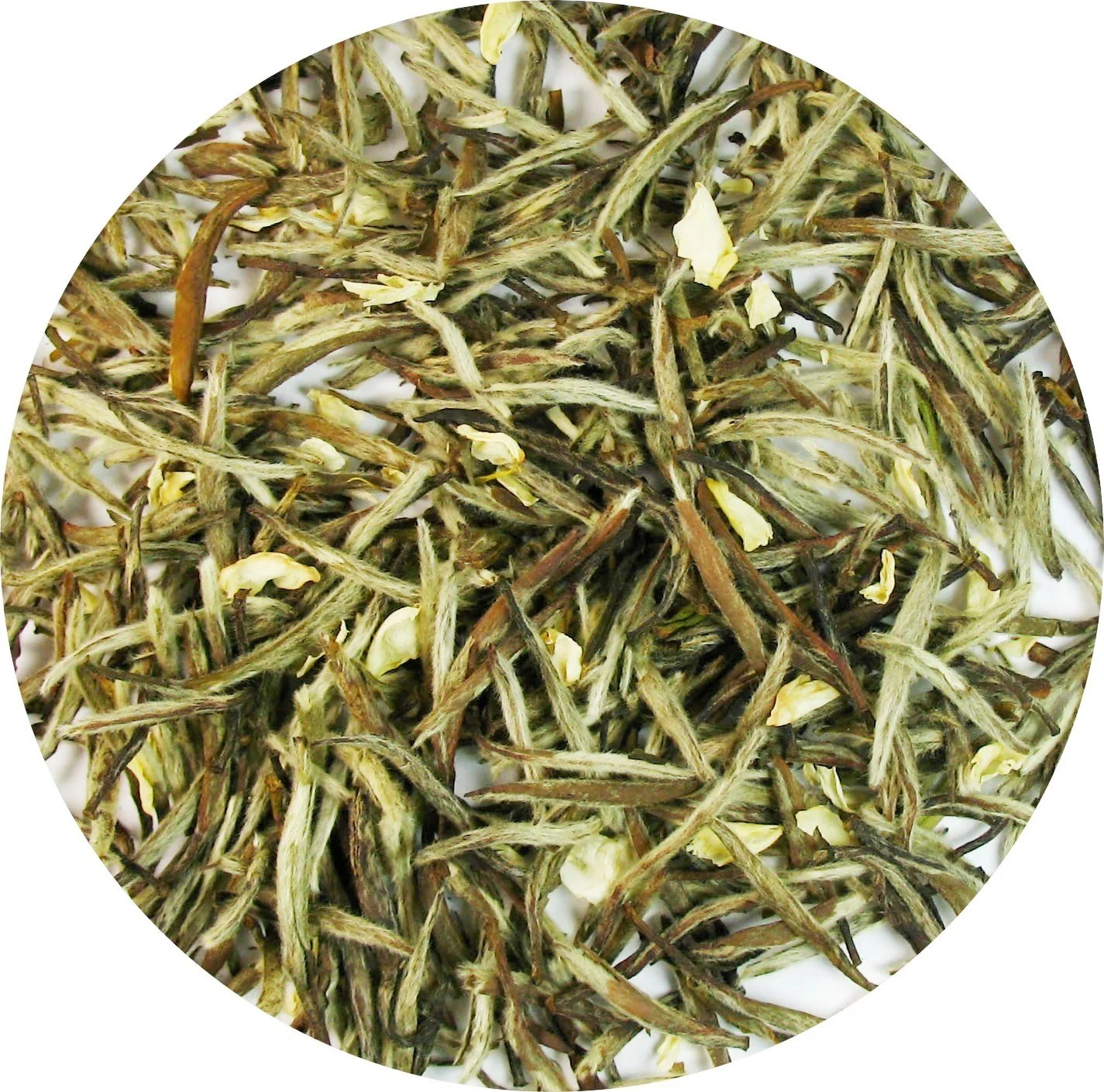 Official Jasmine Silver Needle White Tea white tea with all tippy- 1 LB Tea Secure