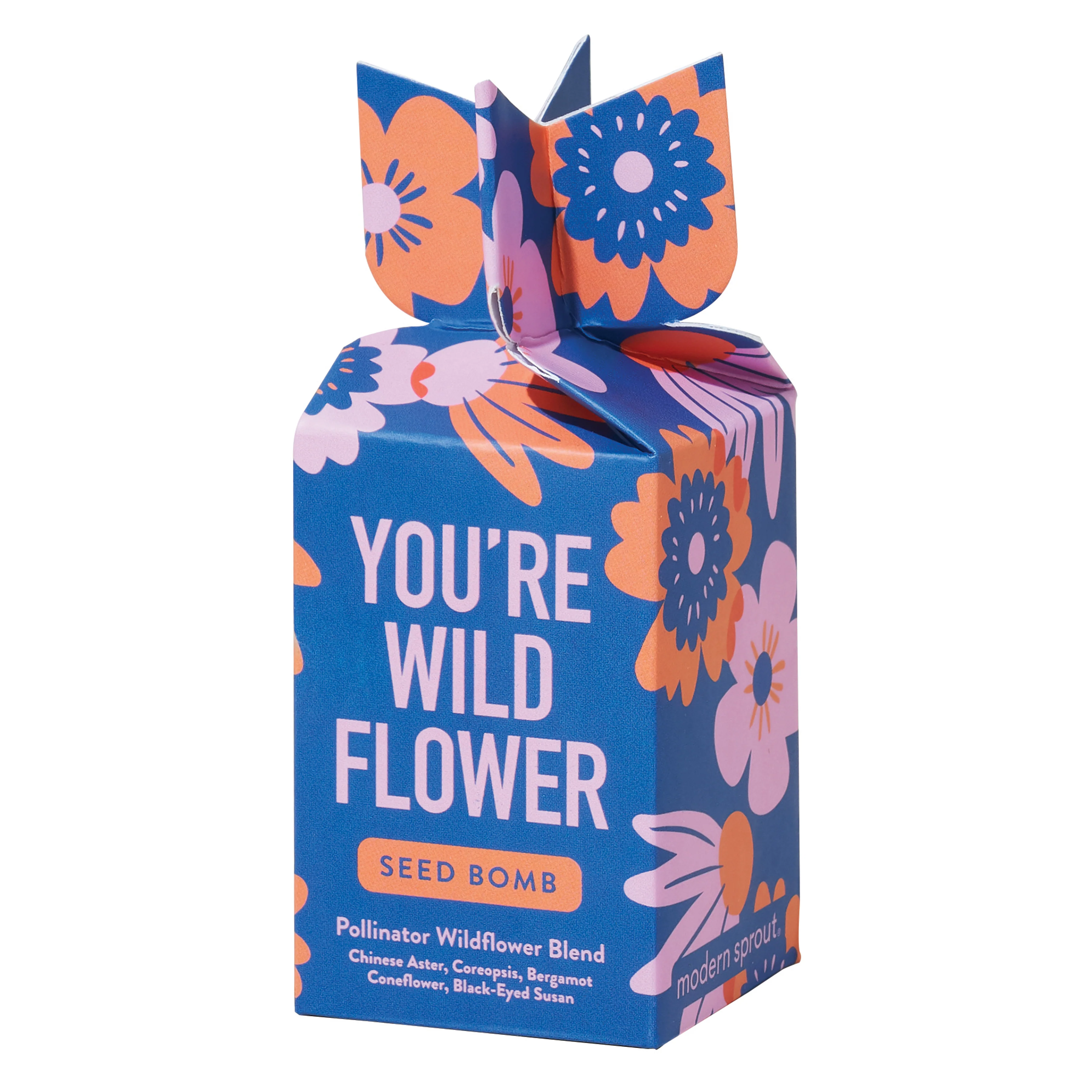 Environmentally Friendly Modern Sprout Seed Bomb – You’re Wild Flower Practical