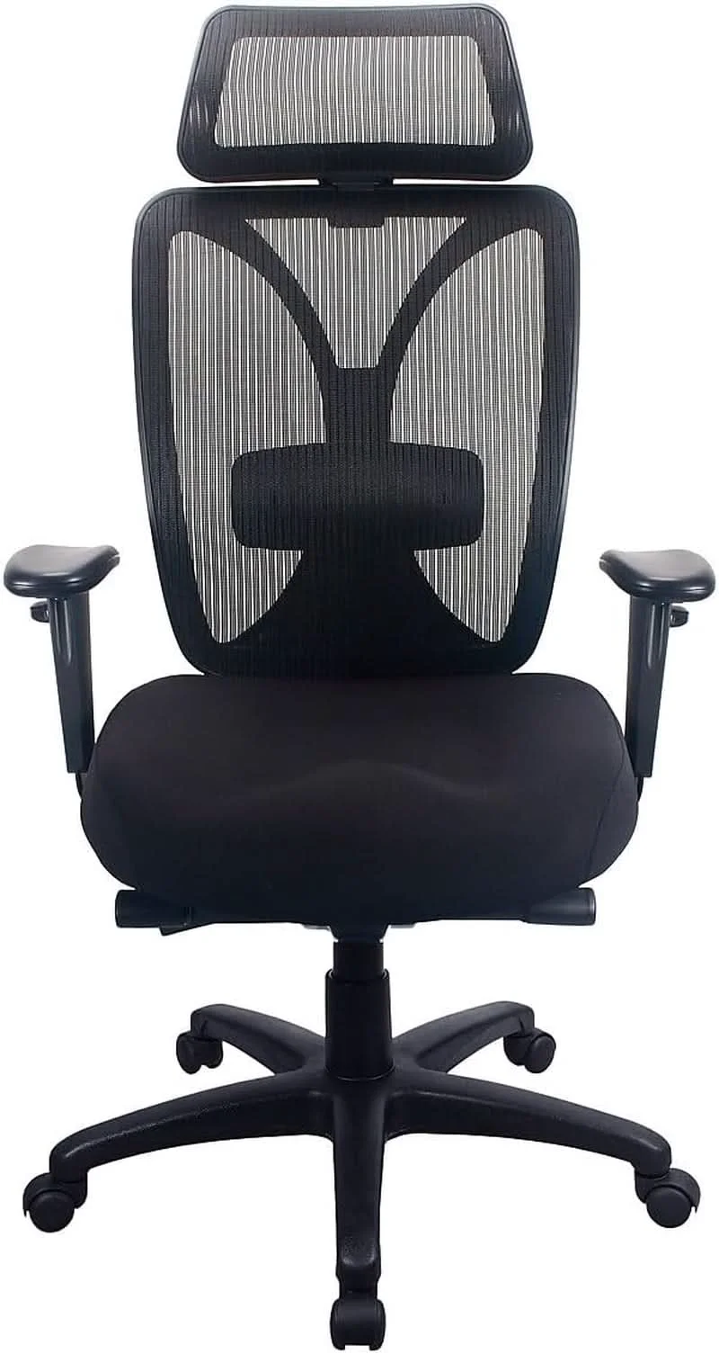 Innovative Raynor Black Ergonomic Desk Chair With Lumbar Support Reliable