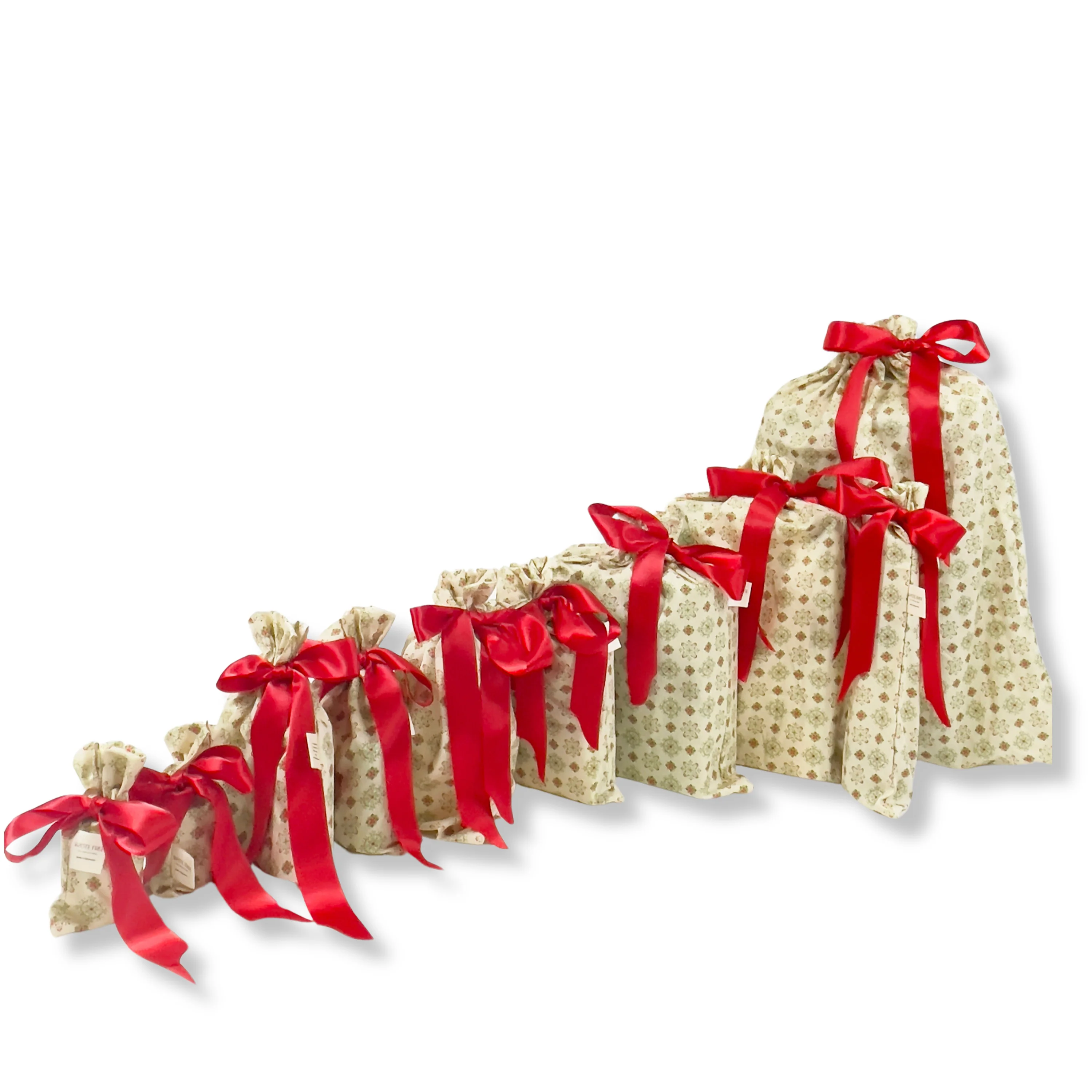 Environmentally Friendly Waste Celebrations Set of 10 Reusable Gift bags Specialty