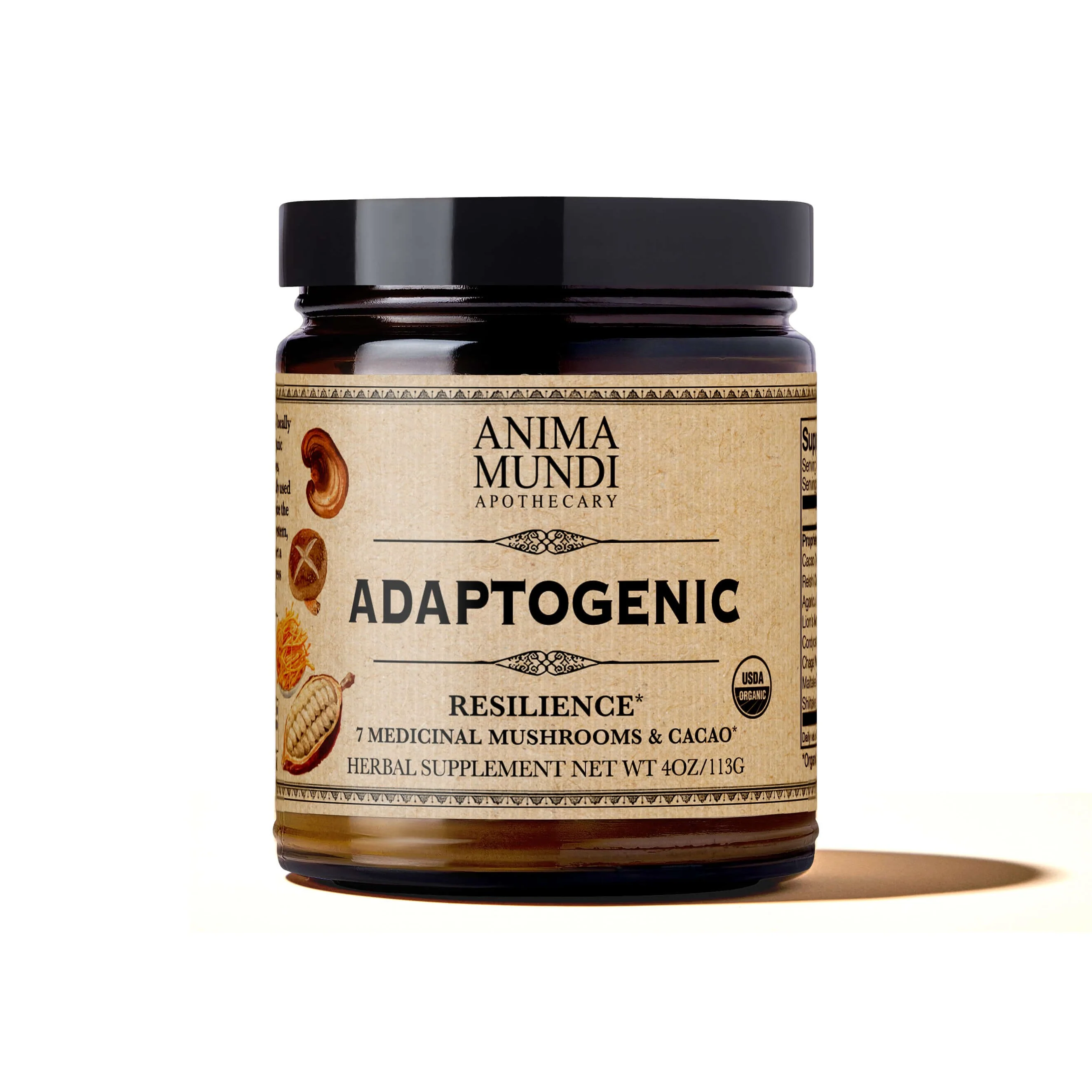 Long-Lasting Anima Mundi ADAPTOGENIC Powder 7 Medicinal Mushrooms Cacao Convenient