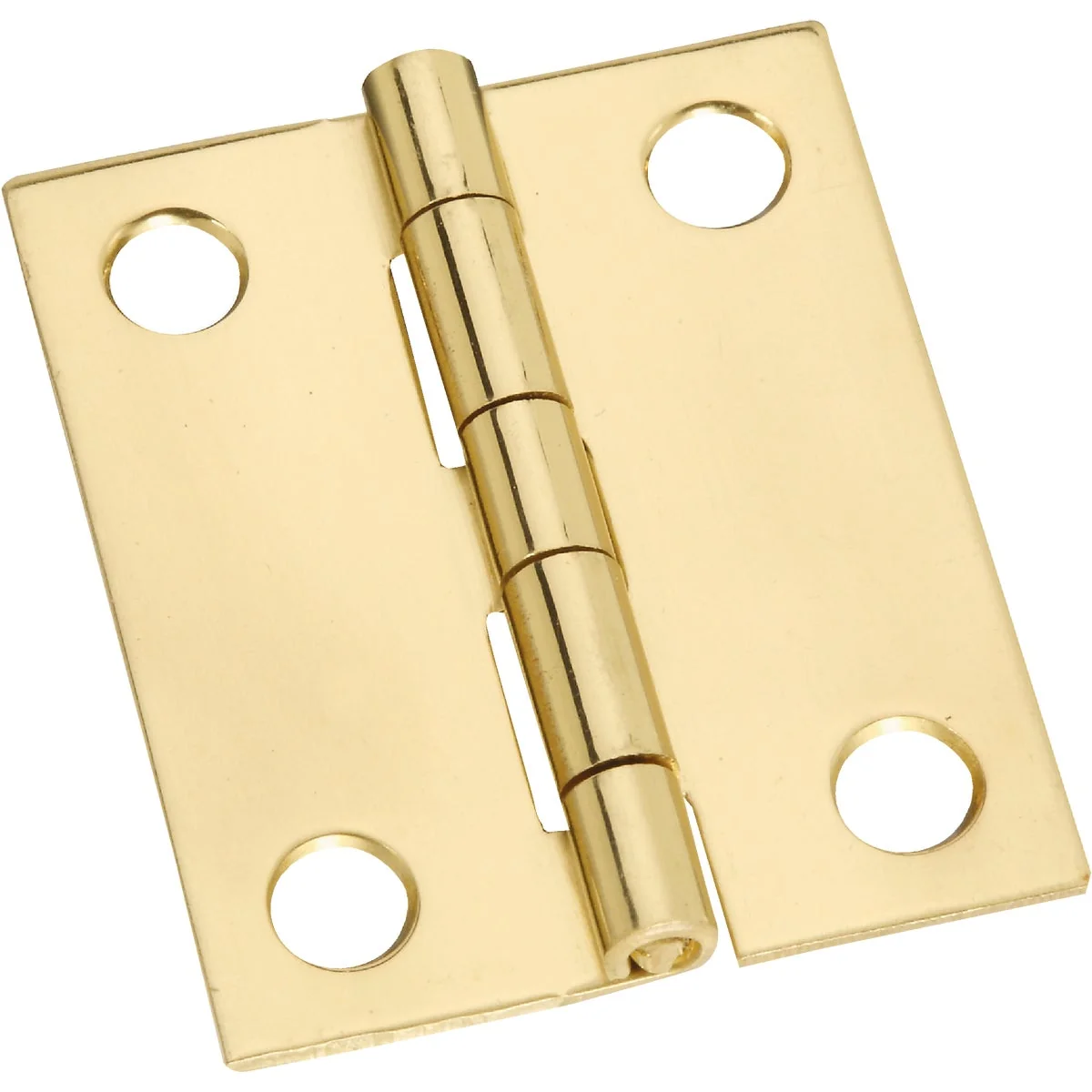 Proven National 1-1 2 In. x 1-1 4 In. Brass Medium Decorative Hinge 2-Pack Traditional