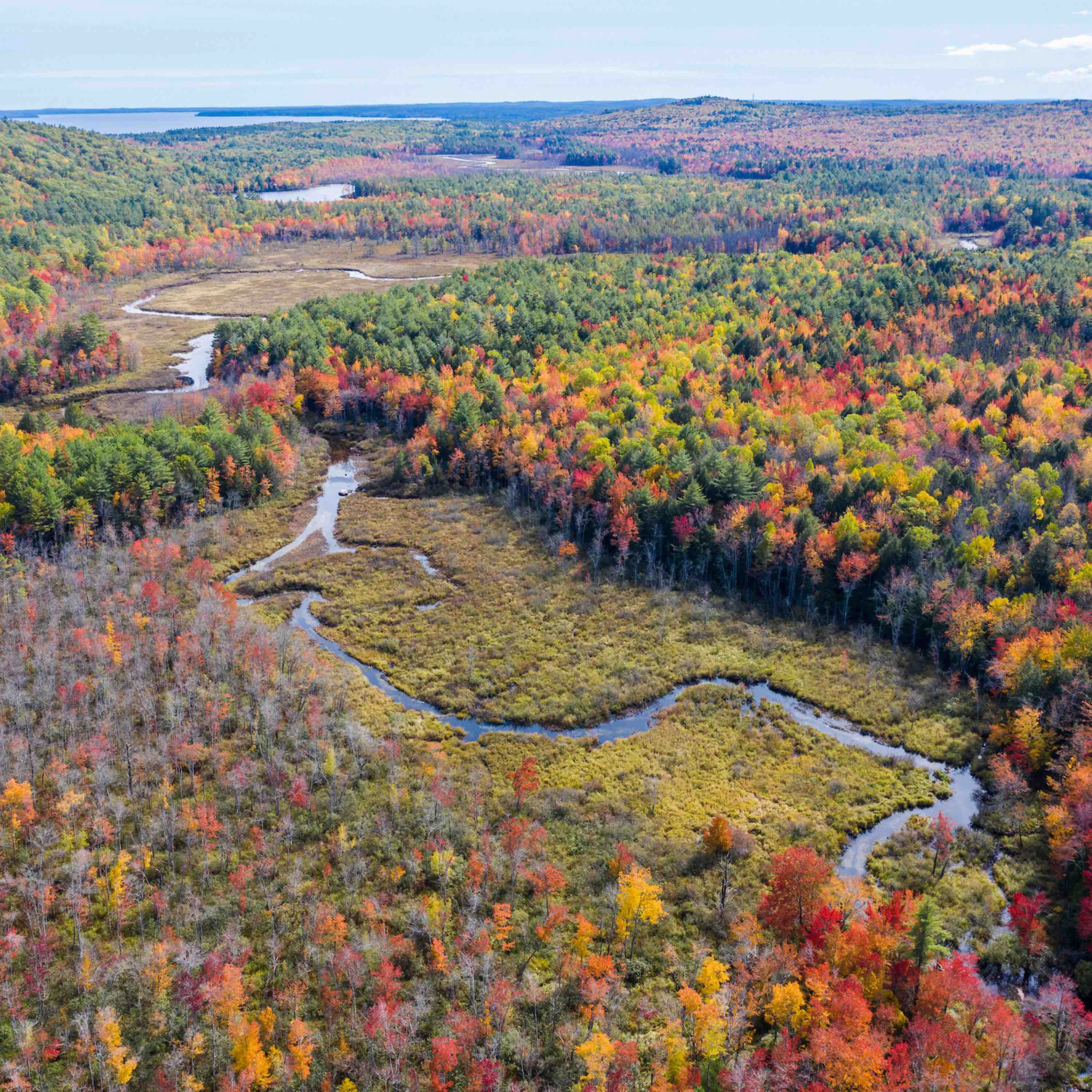 Traditional Grove Collaborative Protect Safe Drinking Water in Maine Solid