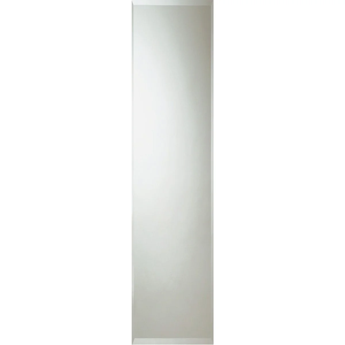 Trendy Erias Home Designs 16 In. W. X 60 In. H. Frameless Beveled Edge Door Mirror Organic