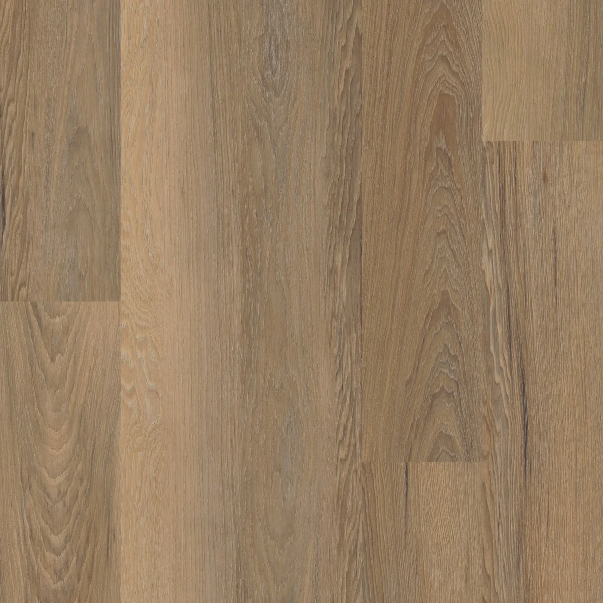 Trendy Shaw COREtec One Plus Niland Chestnut 6 In. W x 48 In. L Vinyl Floor Plank 31.52 Sq. Ft. Case Green
