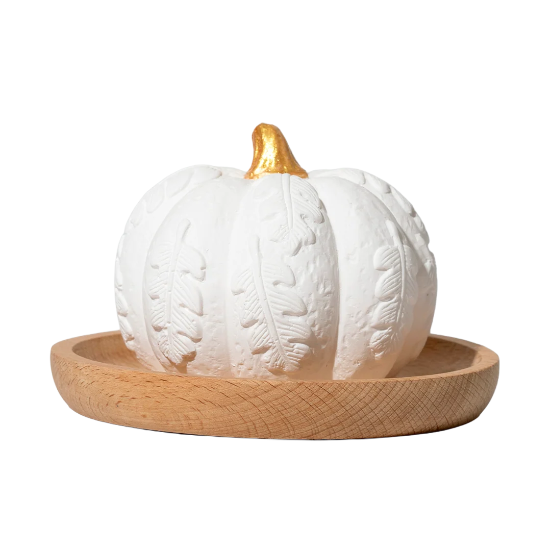 Classic Plant Therapy Pumpkin Passive Diffuser Expertly Made