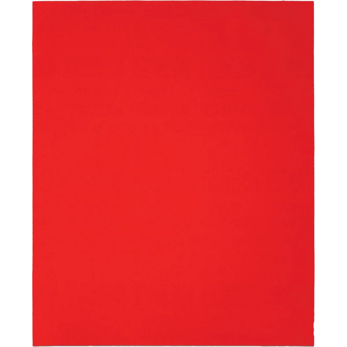 Expertly Made Diablo 9 In. x 11 In. 150-Grit Fine Single Sanding Sheet Minimalist