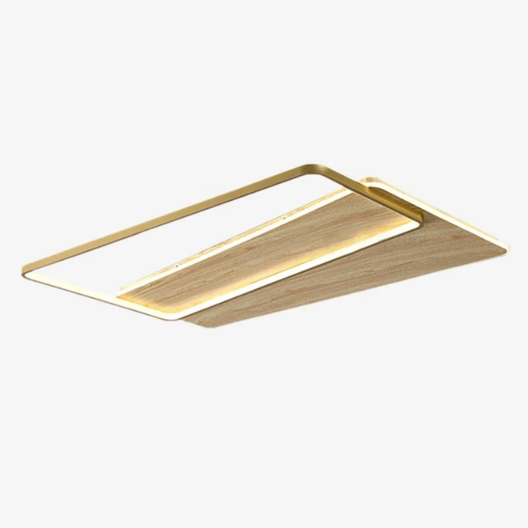 Fashionable Rechthoekige splitsplafondlamp Specialty