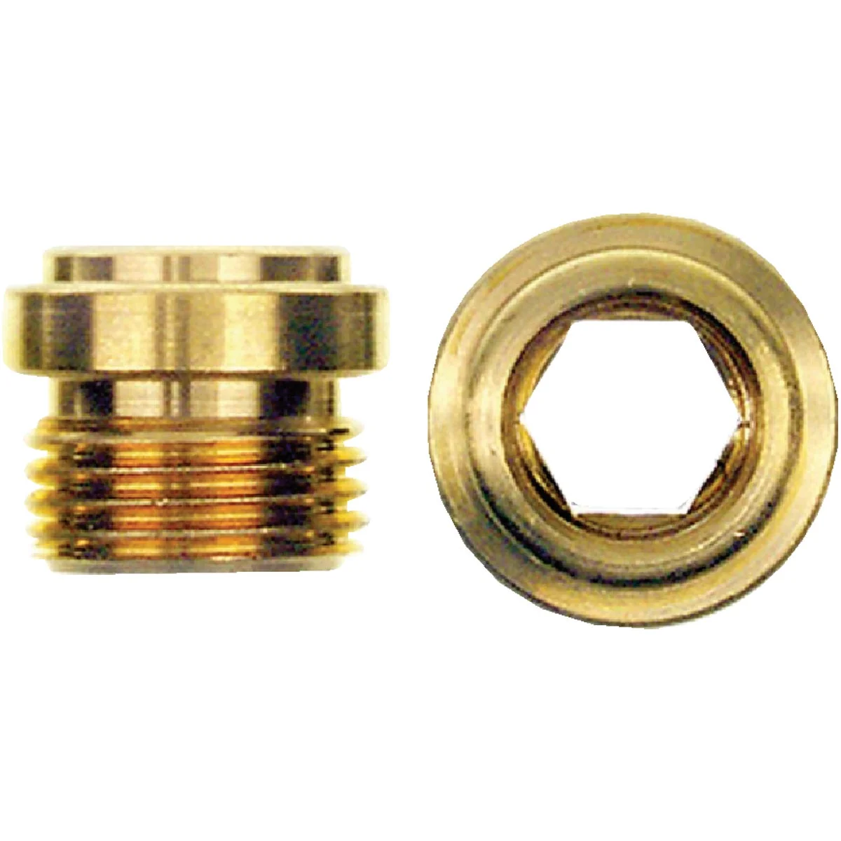 Secure Danco 10 Briggs-Republic 1 2 In. x 24 Thread Size Bibb Seat 2-Pack Long-Lasting