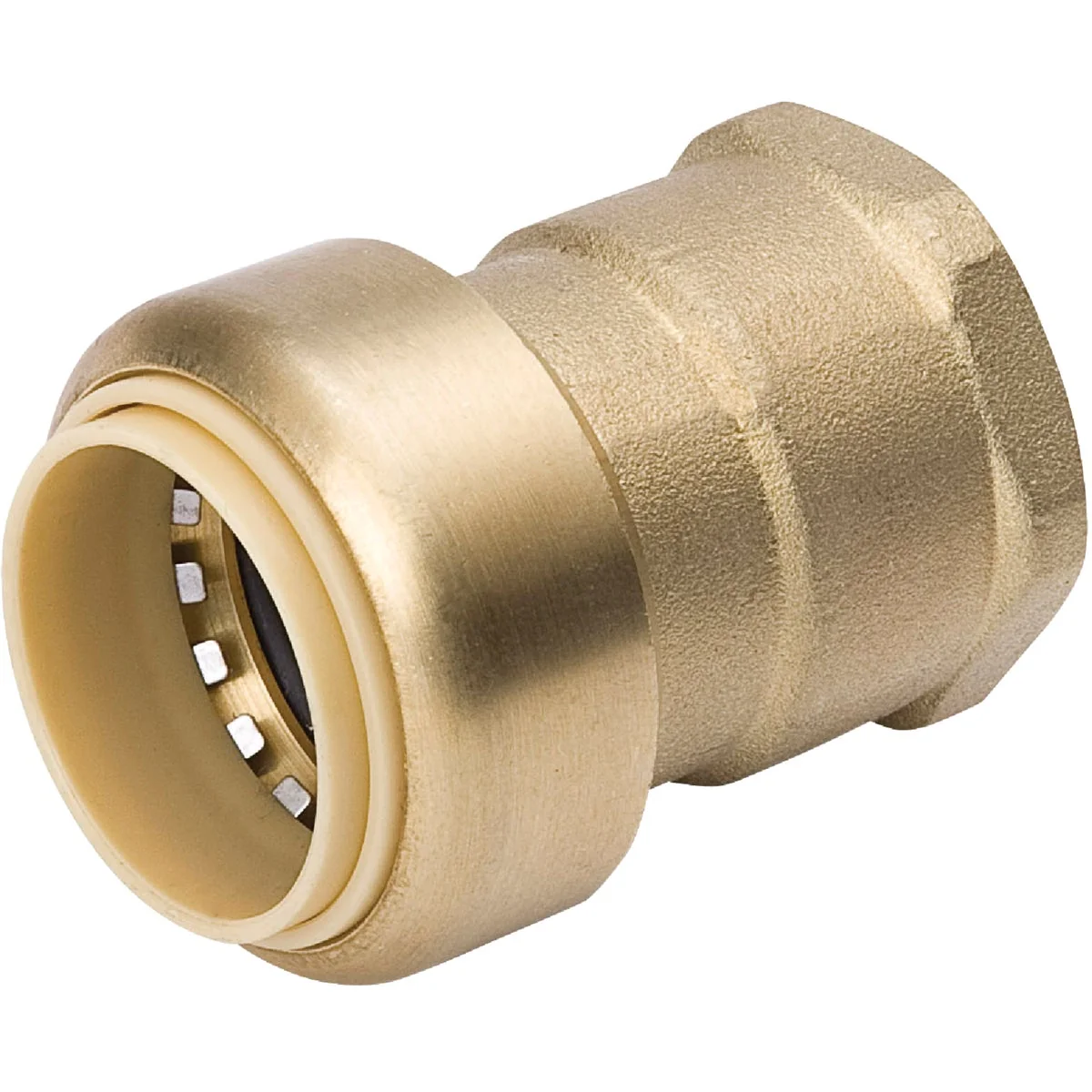 Professional ProLine 1 In. x 1 In. FPT Brass Push Fit Adapter World-Class