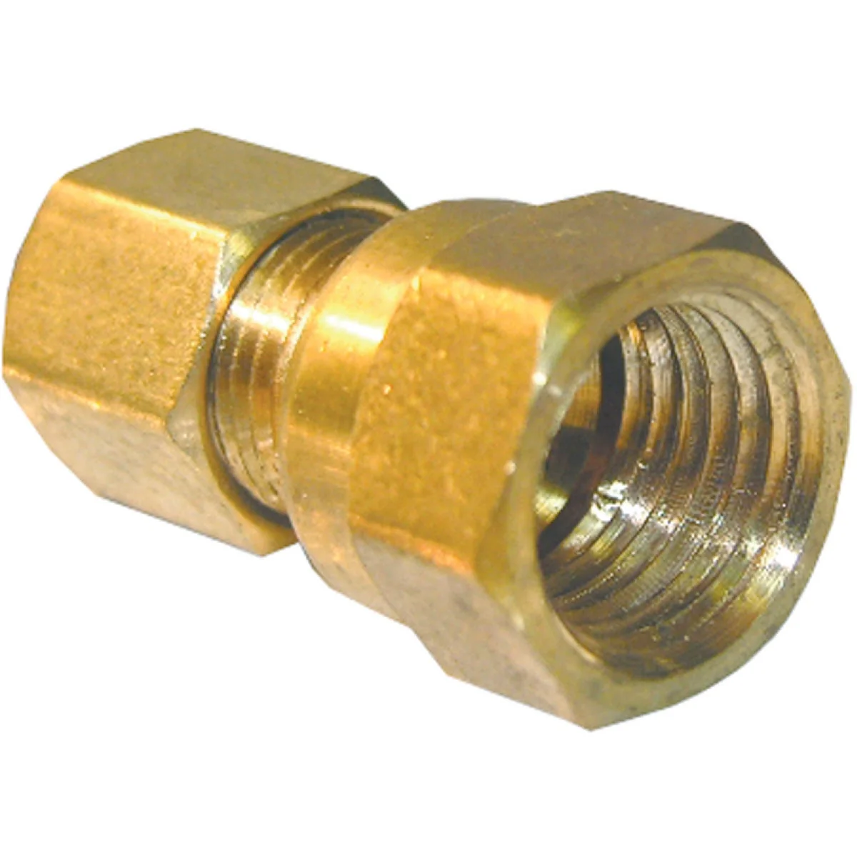 Soft Lasco 1 4 In. C x 1 4 In. FPT Brass Compression Adapter Innovative
