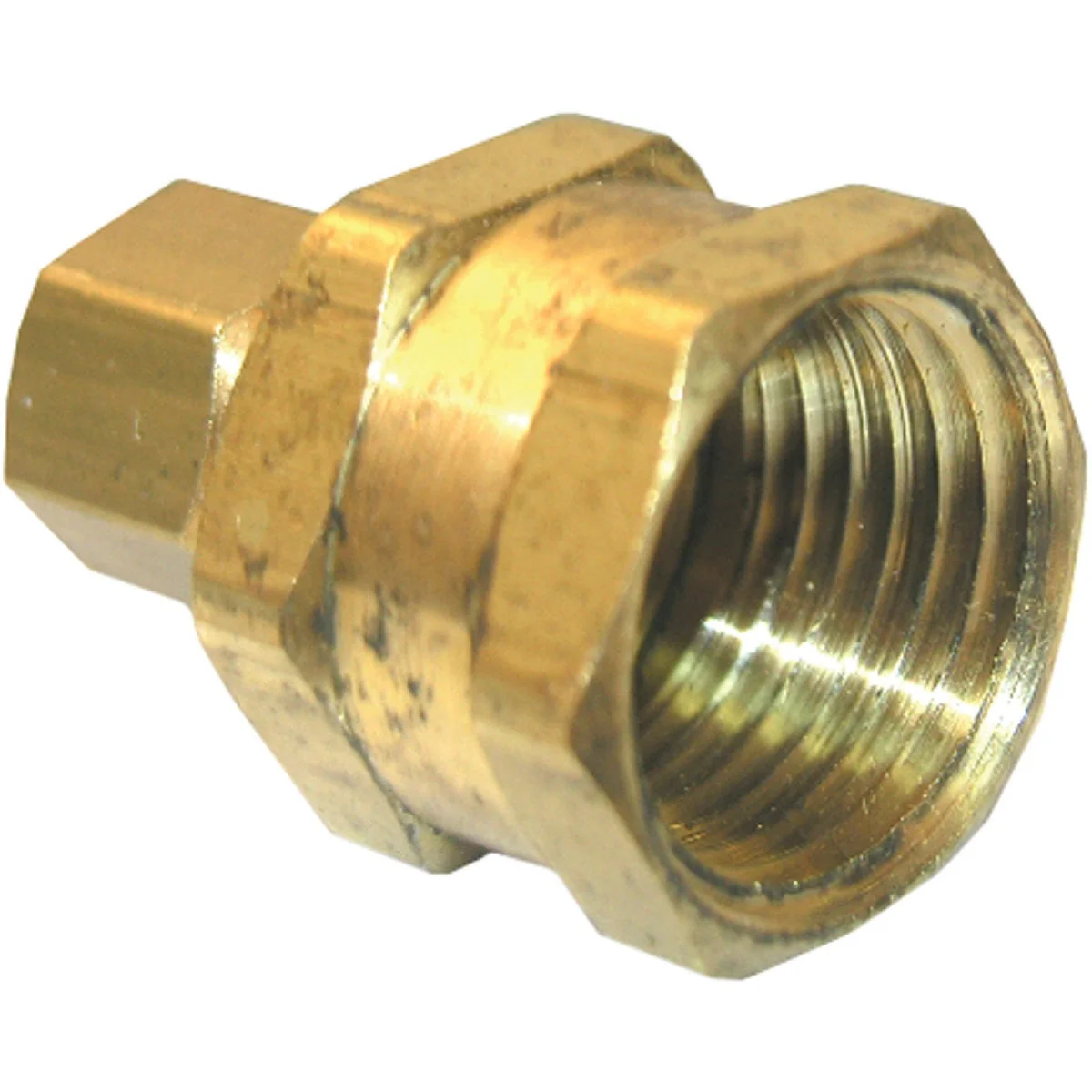 Trendy Lasco 5 16 In. C x 1 4 In. FPT Brass Compression Adapter Flexible