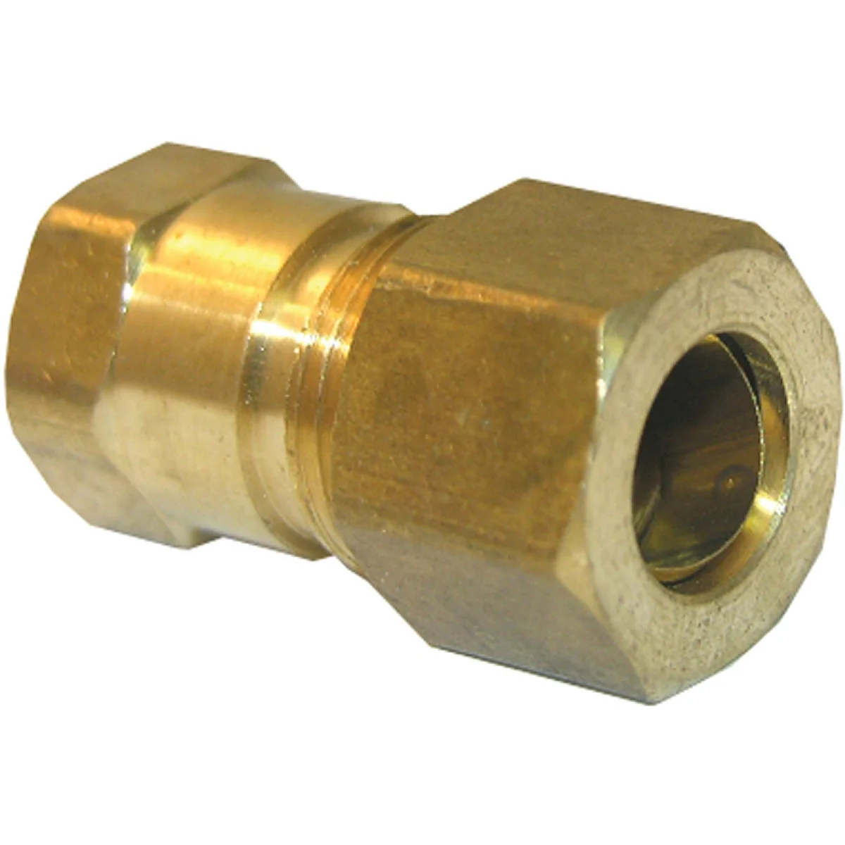 Lightweight Lasco 3 8 In. C x 1 8 In. FPT Brass Compression Adapter Dependable