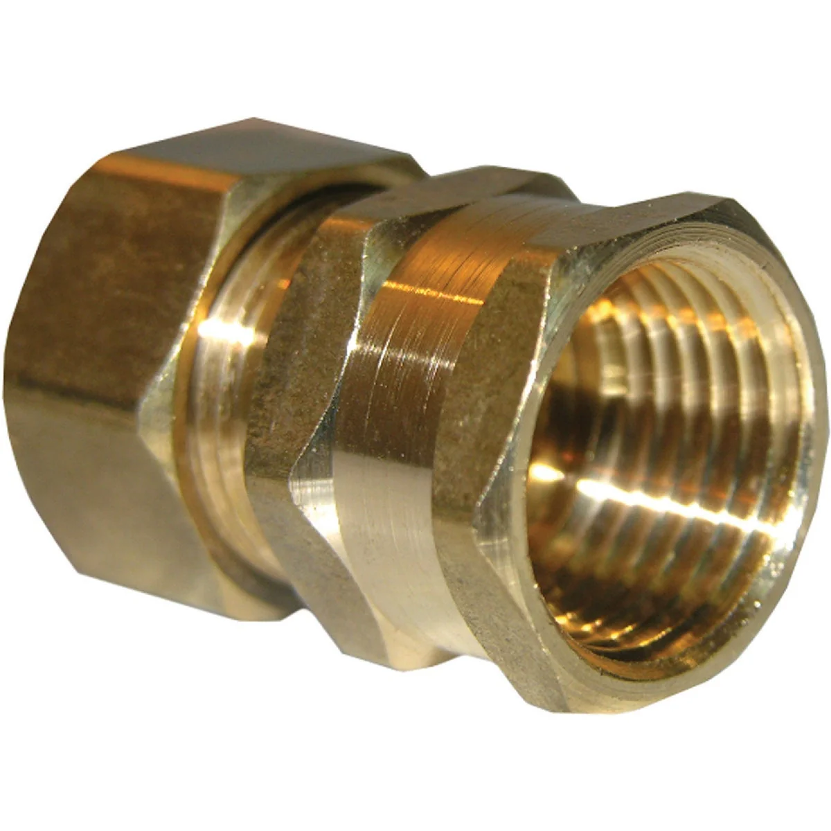 Smooth Lasco 5 8 In. C x 1 2 In. FPT Brass Compression Adapter Environmentally Friendly