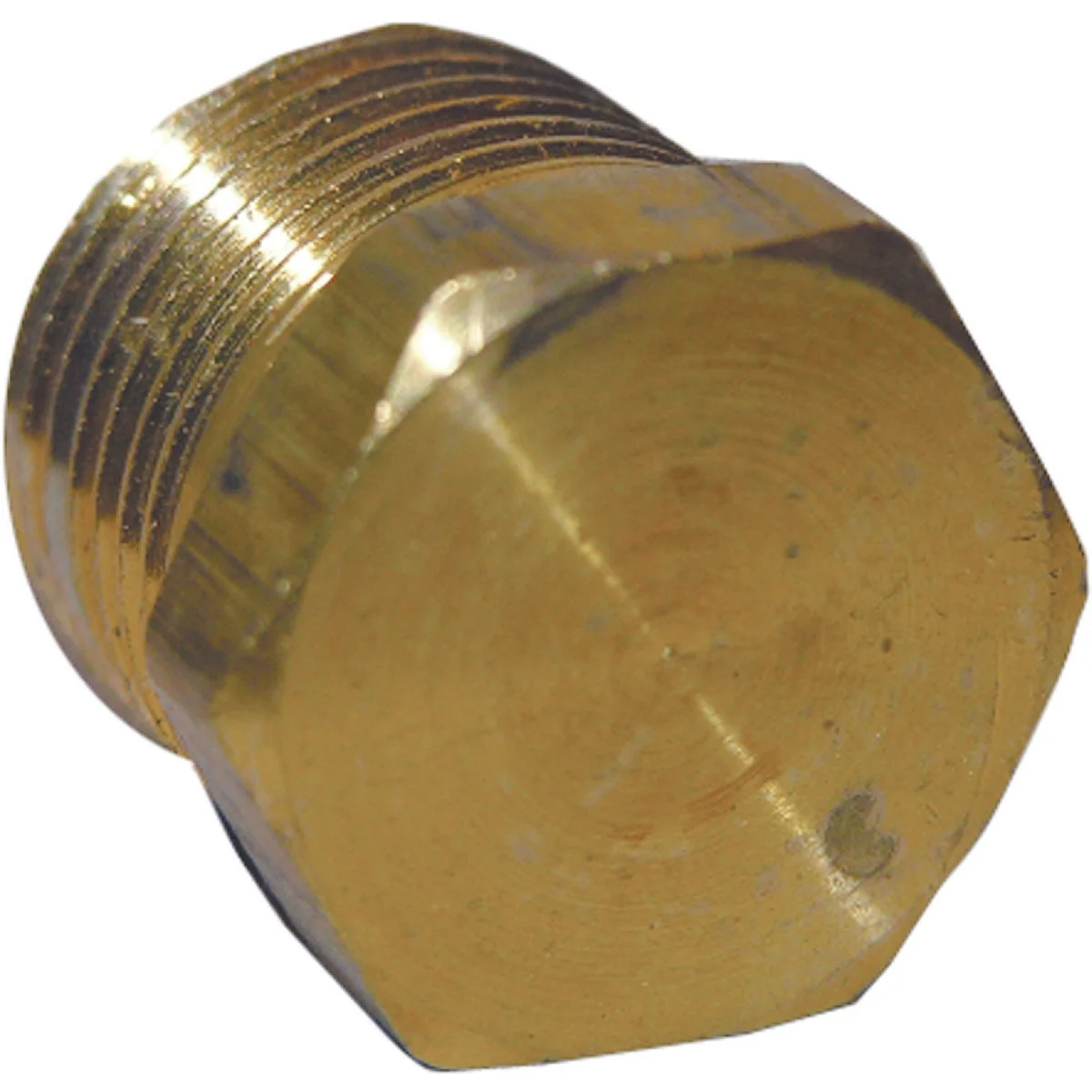 Optimized Lasco 3 8 In. MPT Brass Hex Head Plug Convenient