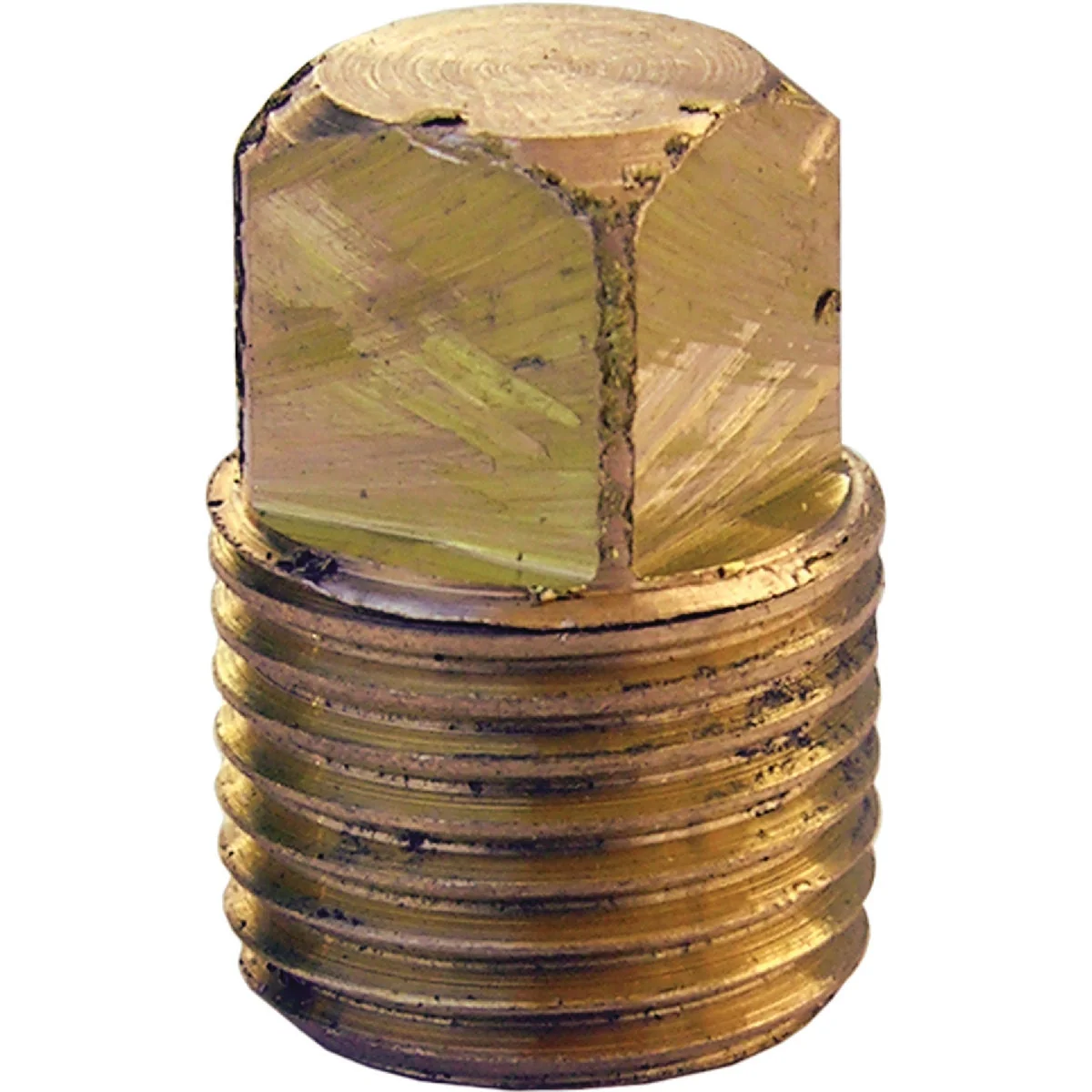 Original Lasco 1 8 In. MPT Brass Square Head Plug Professional