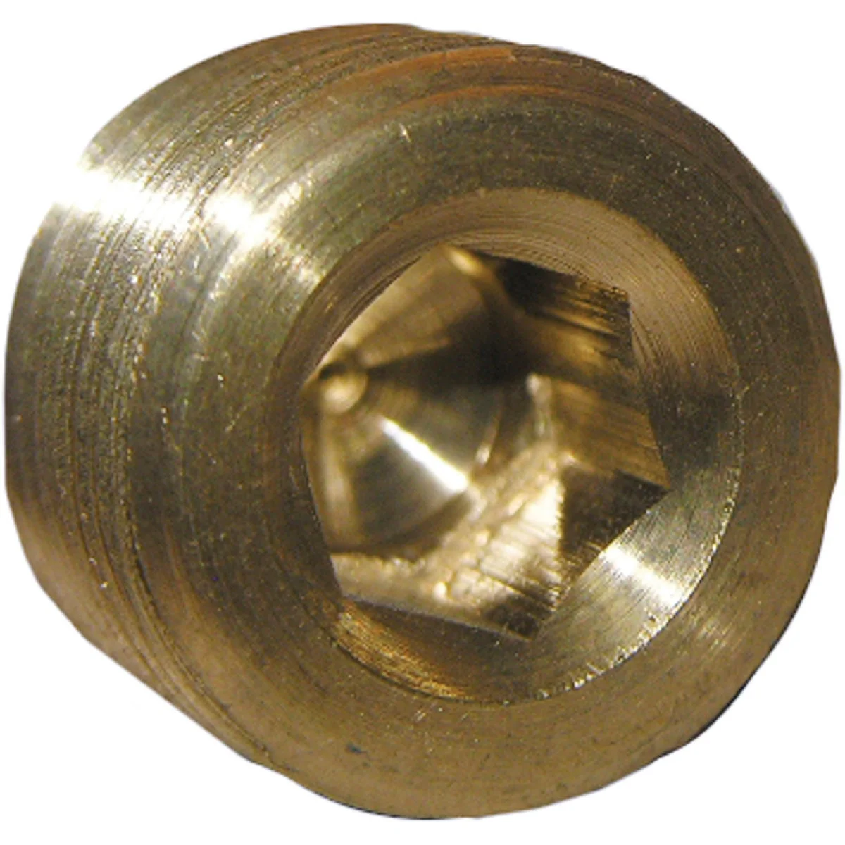 Durable Lasco 1 4 In. MPT Brass Countersunk Plug Practical