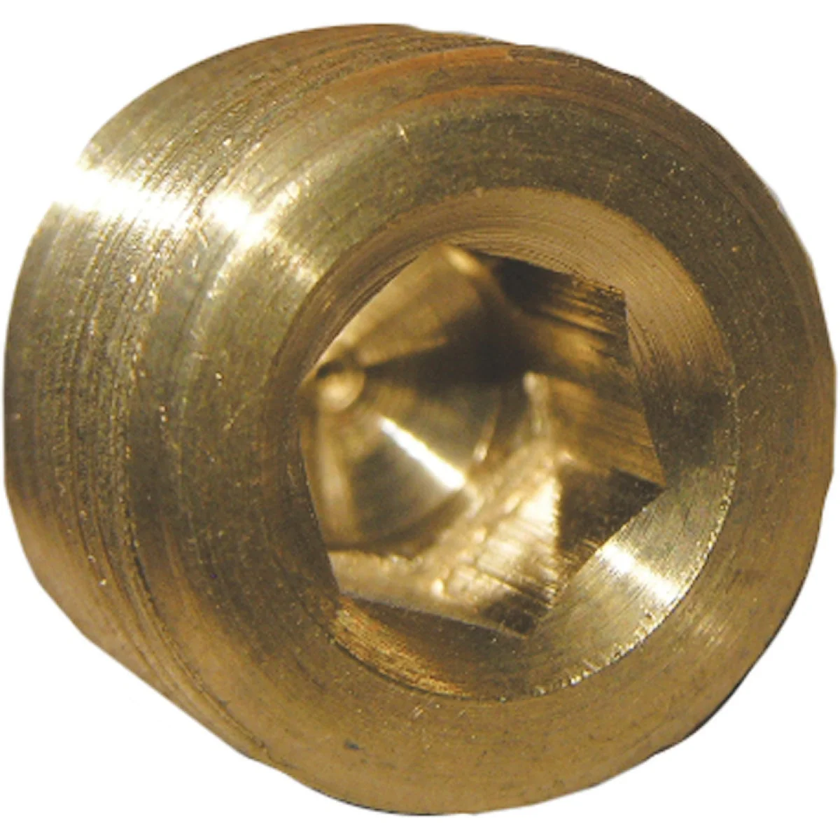 Smart Lasco 3 8 In. MPT Brass Countersunk Plug Detailed