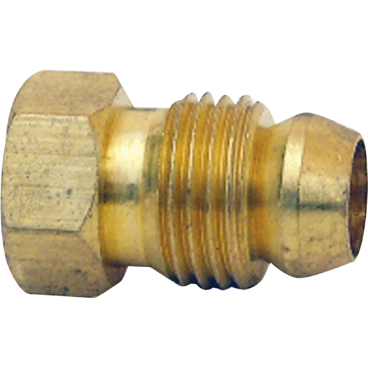Fine Lasco 1 4 In. Brass Inverted Flare Connector Luxury